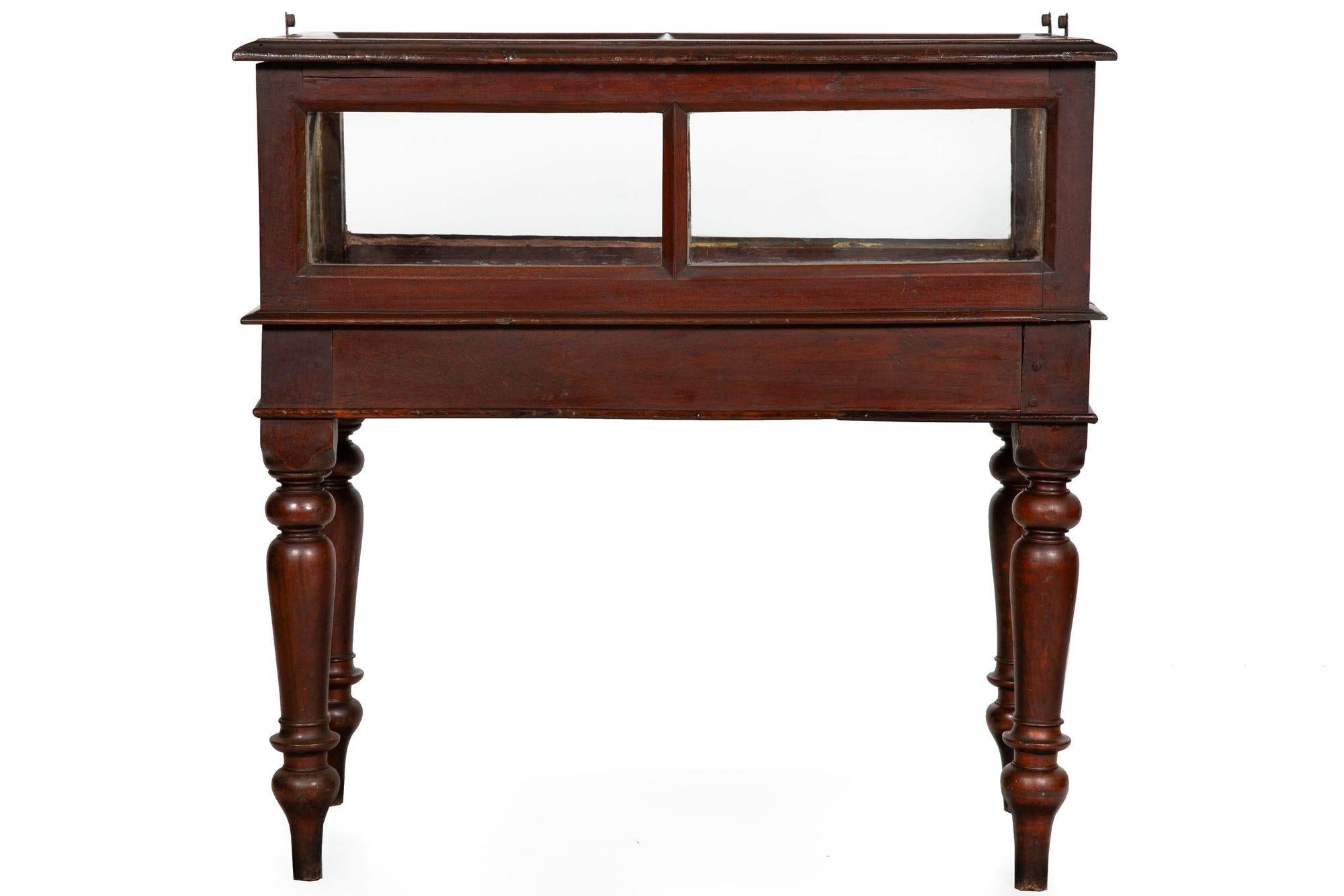 Rare Pair of Anglo-Indian Teak Vitrine Display Tables Cabinets, 19th century For Sale 1