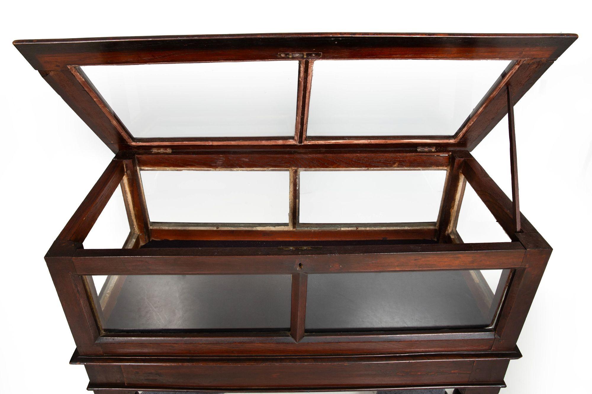 Rare Pair of Anglo-Indian Teak Vitrine Display Tables Cabinets, 19th century For Sale 2