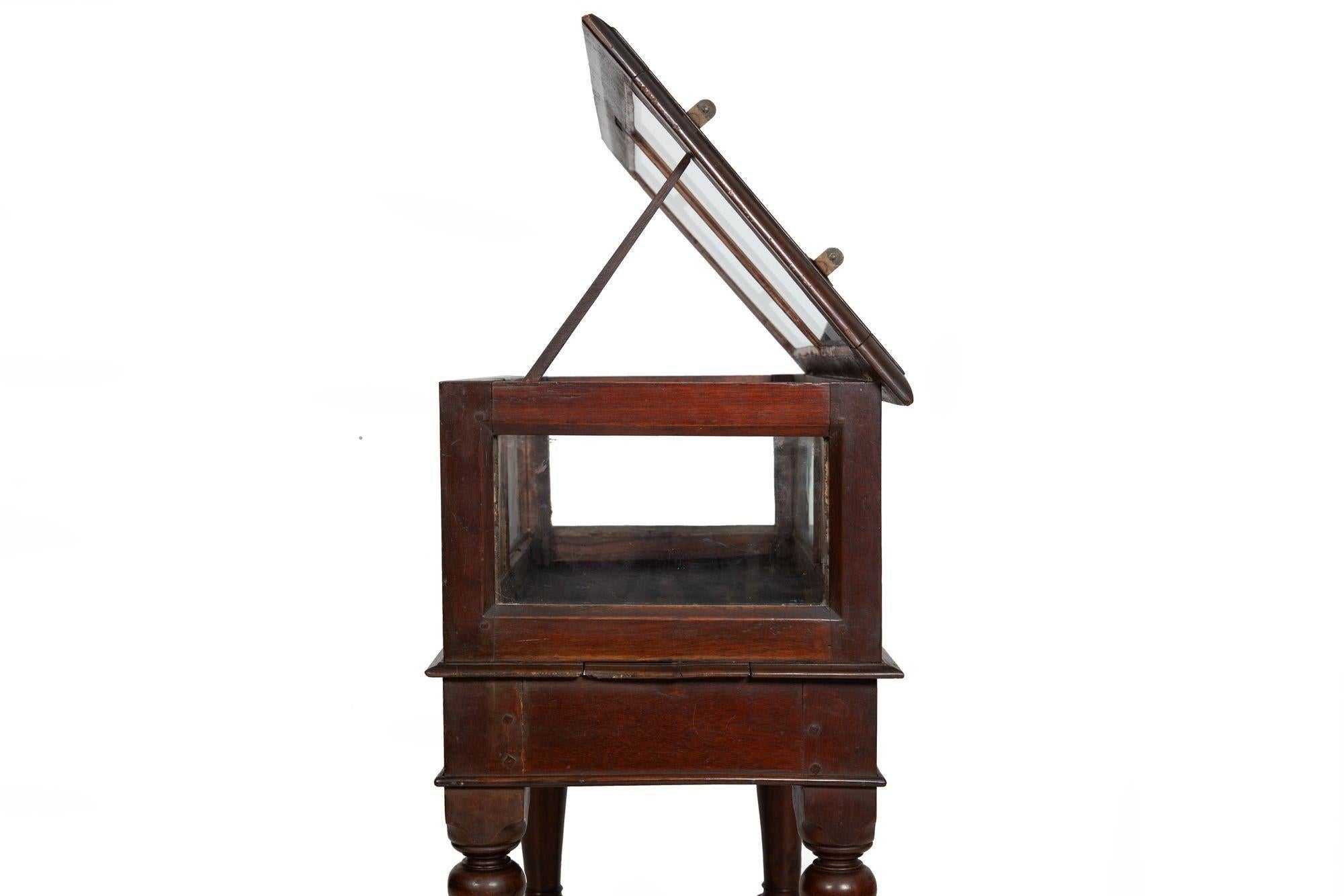 Rare Pair of Anglo-Indian Teak Vitrine Display Tables Cabinets, 19th century For Sale 3