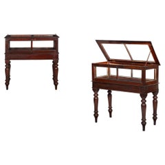 Rare Pair of Anglo-Indian Teak Vitrine Display Tables Cabinets, 19th century