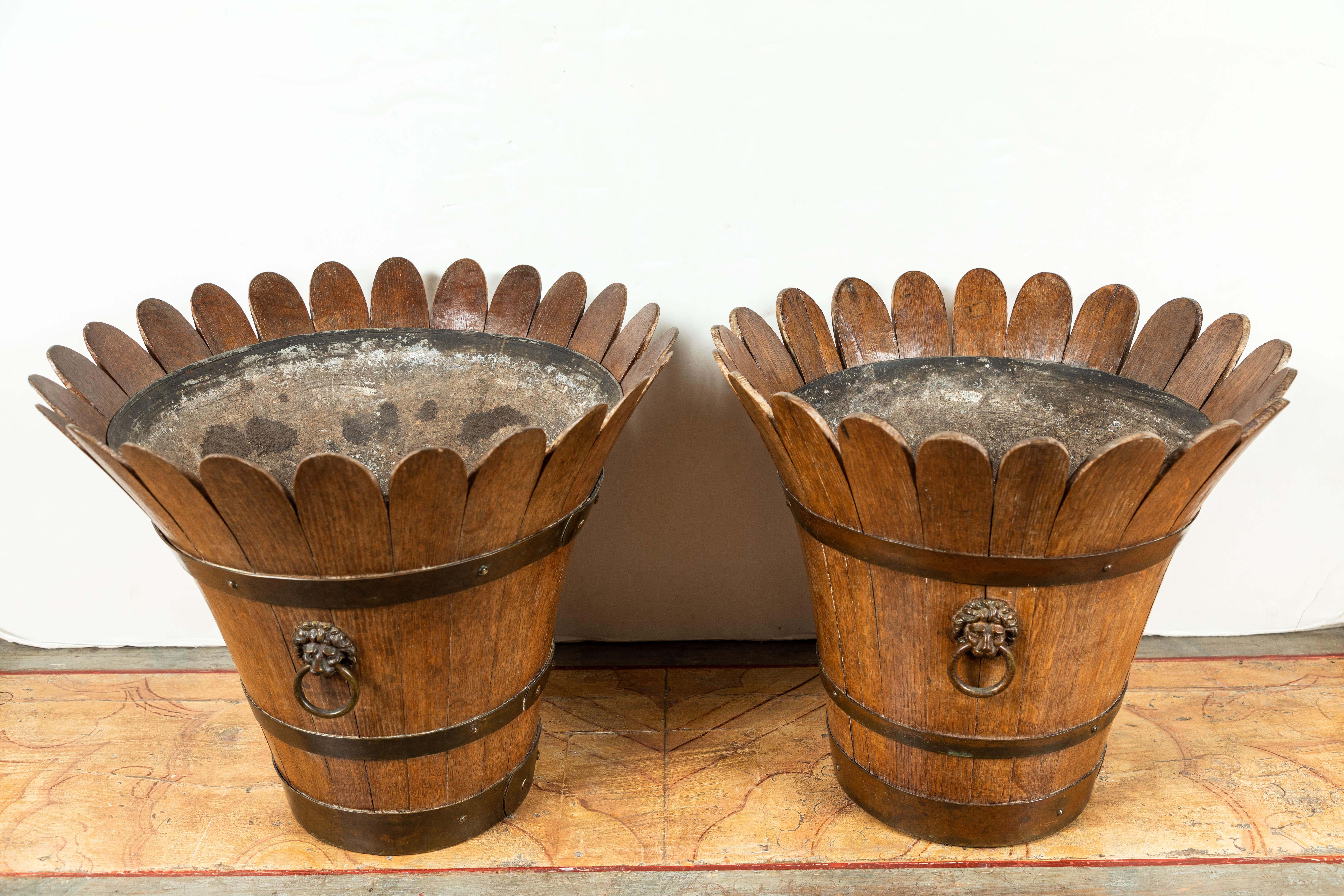 A pair of period, hand carved, scallop edged, circa 1800, English planters with original metal mounts. Each featuring lion head reliefs holding rings.