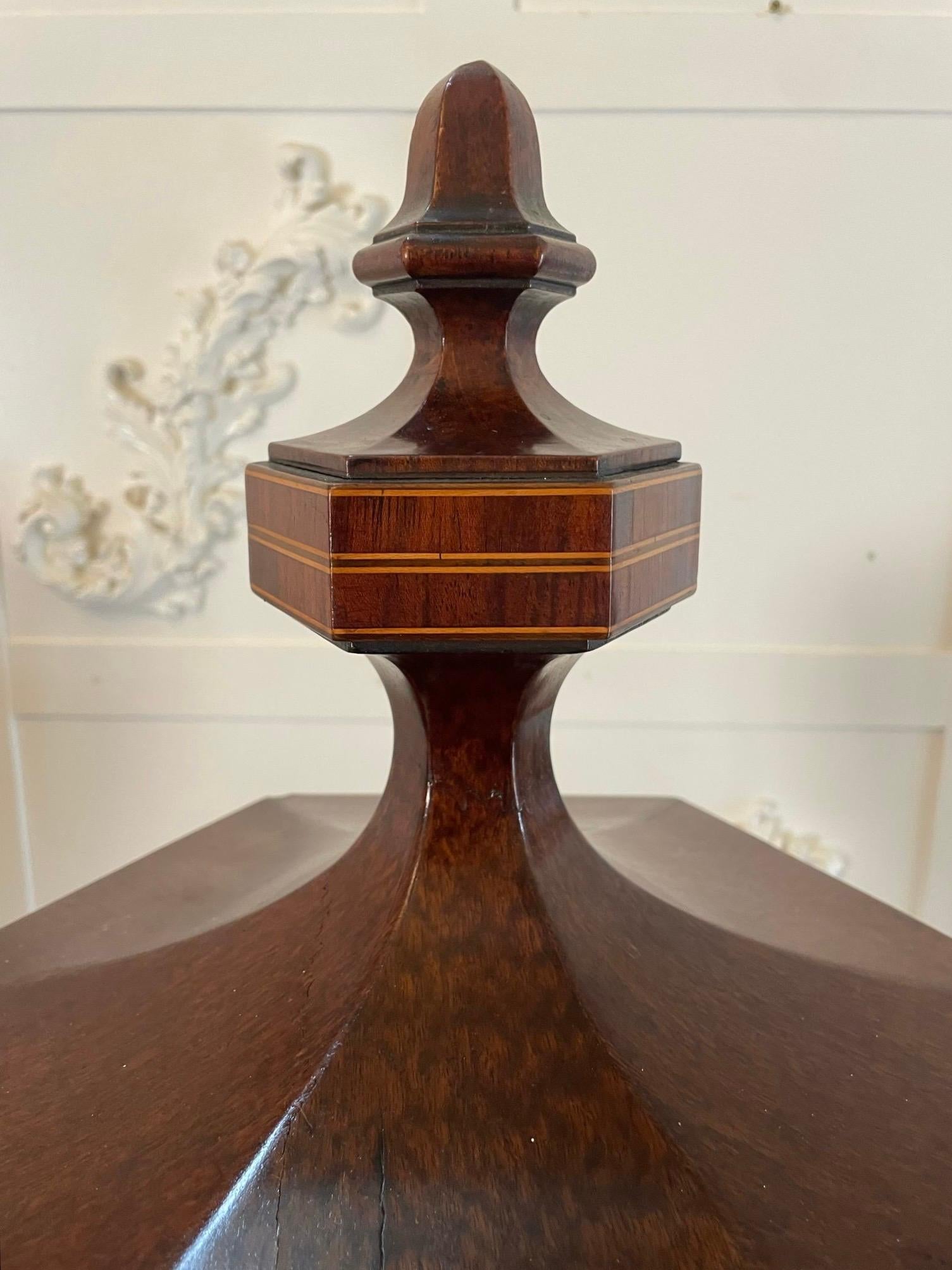 Other Rare Pair of Antique Mahogany Inlaid Wine Urns on Original Pedestal Cupboards For Sale