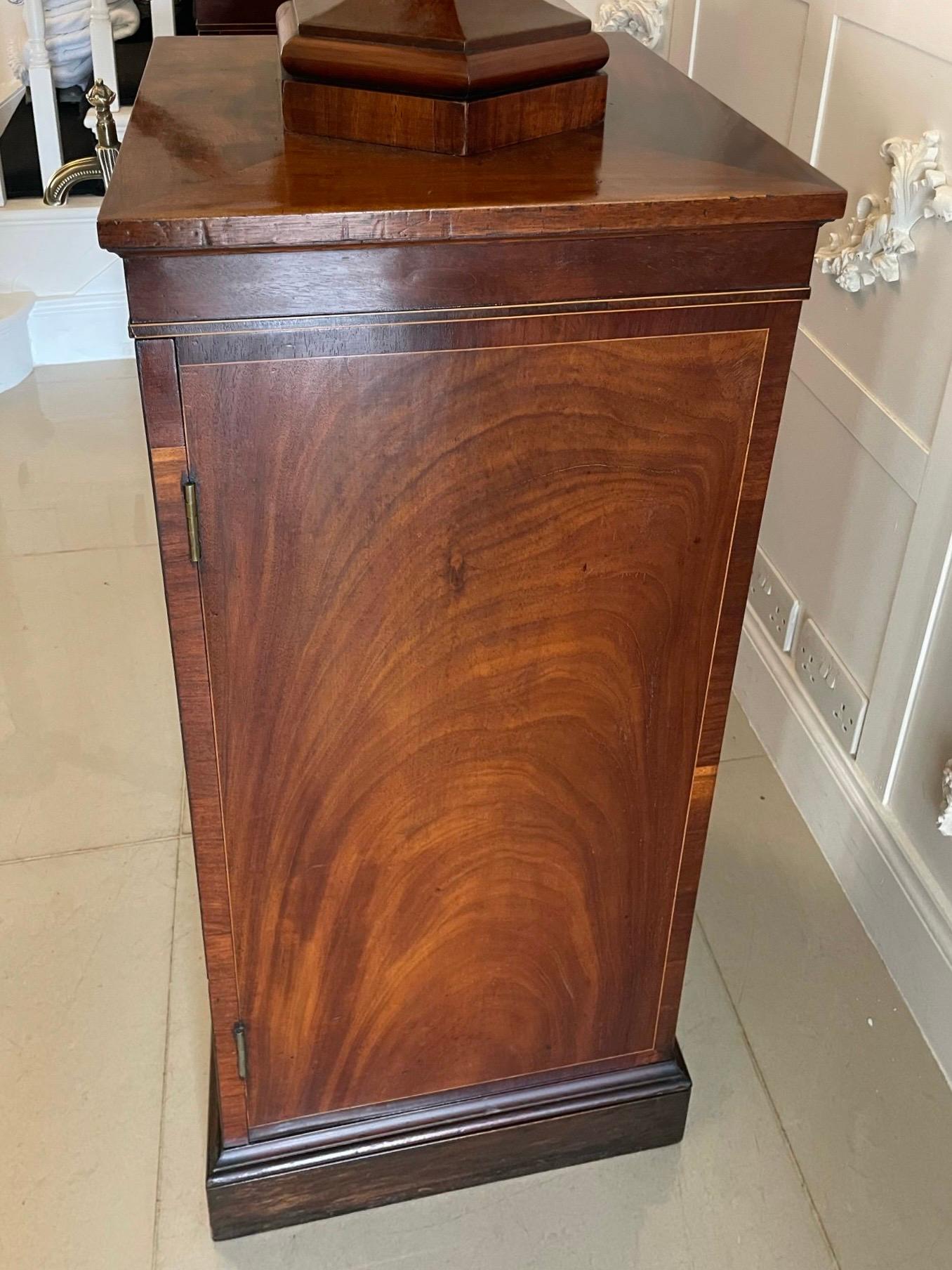 Rare Pair of Antique Mahogany Inlaid Wine Urns on Original Pedestal Cupboards For Sale 3