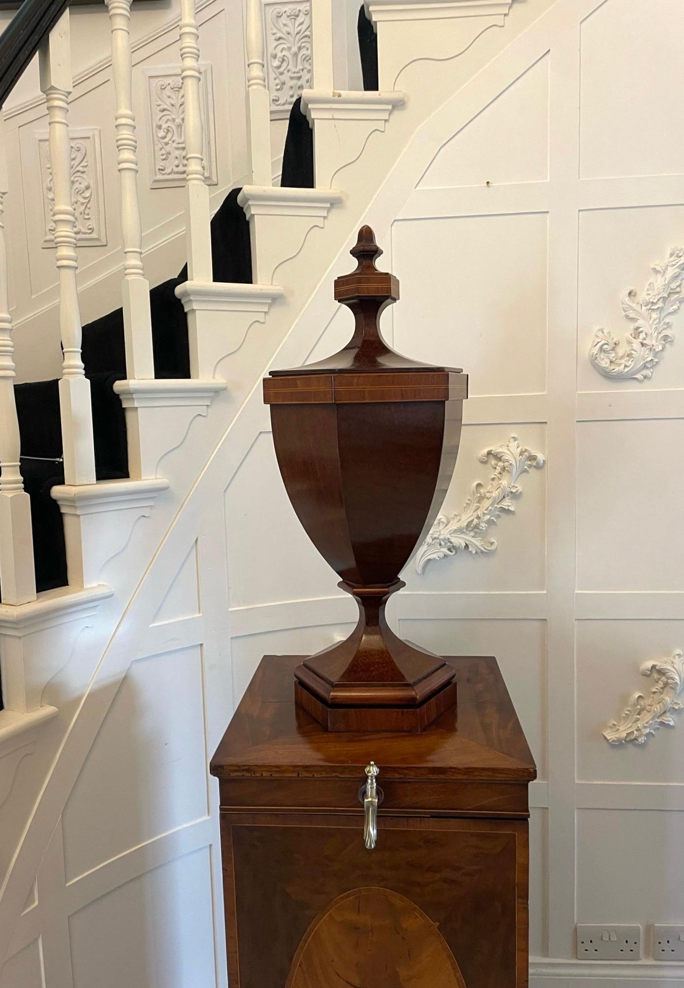 Rare Pair of Antique Mahogany Inlaid Wine Urns on Original Pedestal Cupboards For Sale 8