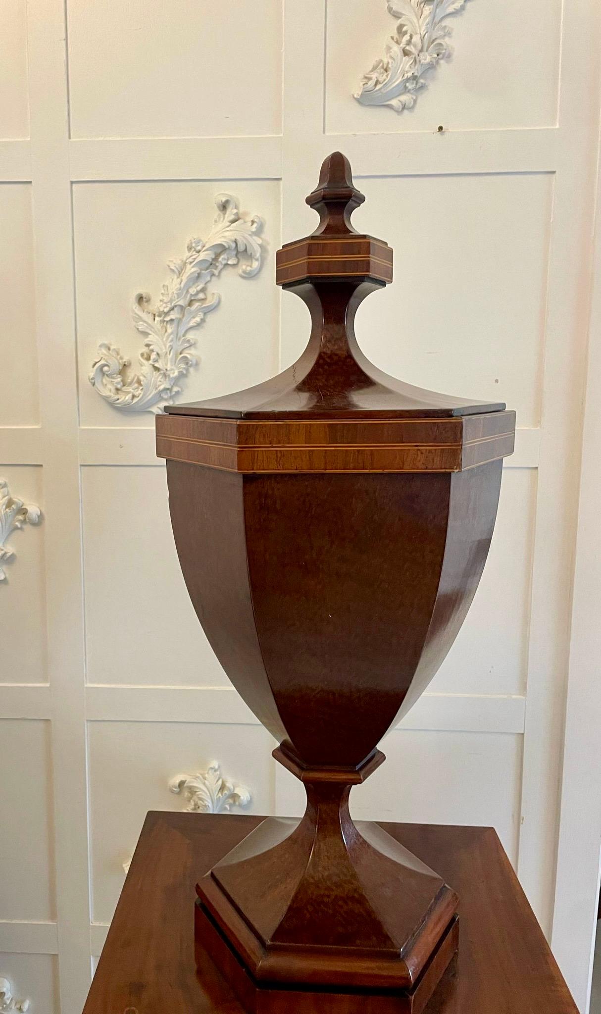 Rare Pair of Antique Mahogany Inlaid Wine Urns on Original Pedestal Cupboards For Sale 9