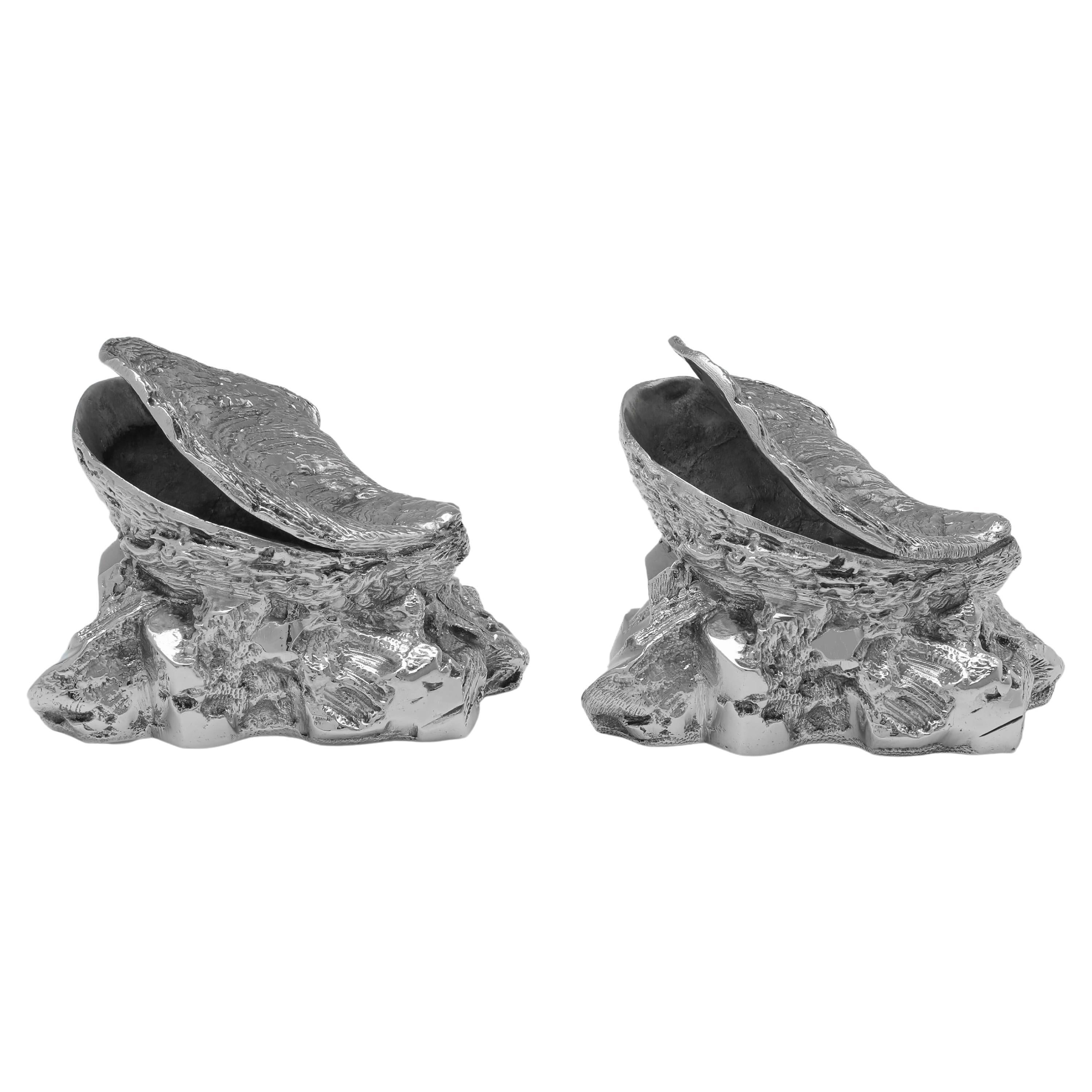 Rare paire de chaudières à cuillères anciennes en métal argenté, enregistrées en 1875