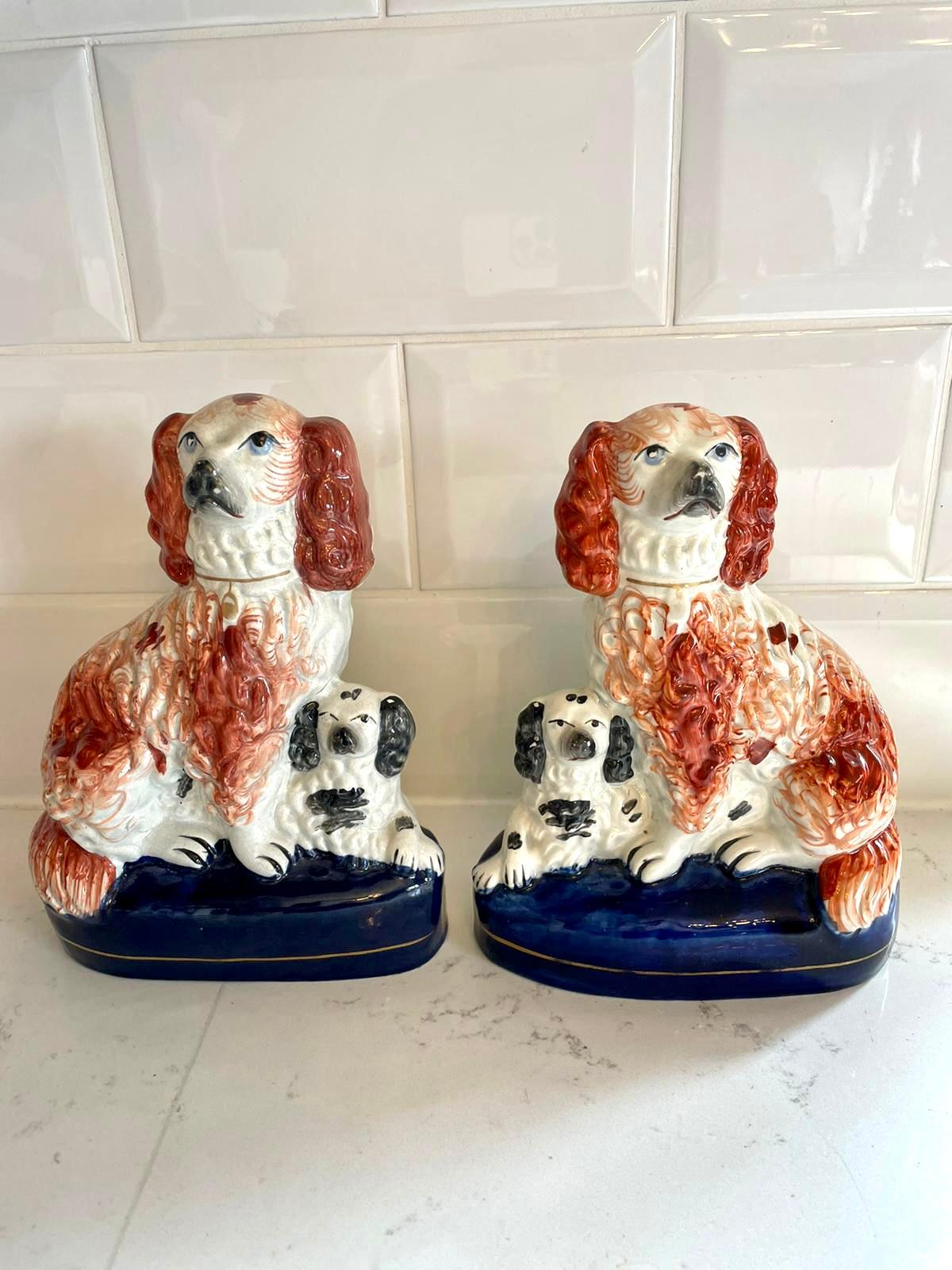 Rare pair of antique Victorian Staffordshire dogs, both Spaniels sitting and having chestnut and white coats accompanied by a black and white Spaniel laying next to them. 

A charming pair in lovely original condition.

Measures: H 20.5cm 
W