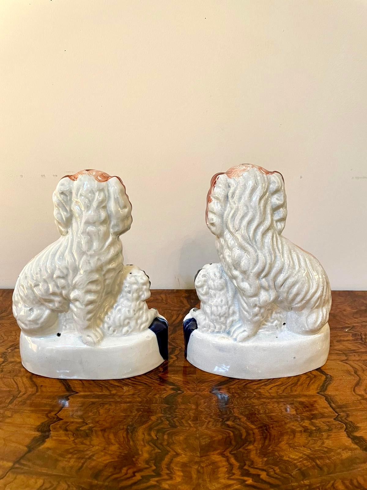 19th Century Rare Pair of Antique Victorian Staffordshire Dogs