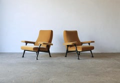 Rara coppia di autentiche sedie da sala Roberto Menghi degli anni '50, Italia, New Mohair puro