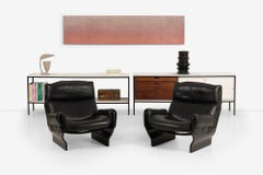 Rare Pair of George Nelson Storage Units for Omni