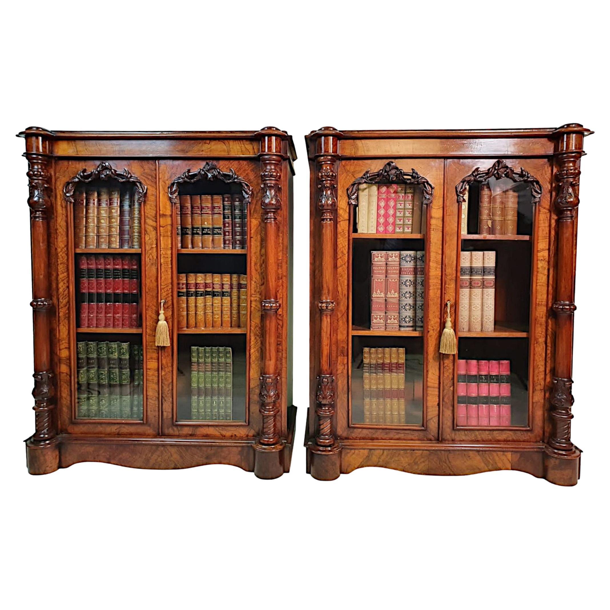 Rare Pair of Irish 19th Century Bookcases Attributed to Robert Strahan