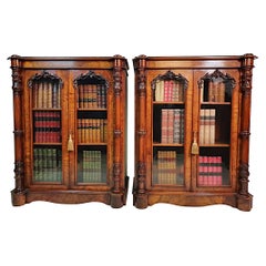 Rare Pair of Irish 19th Century Bookcases Attributed to Robert Strahan