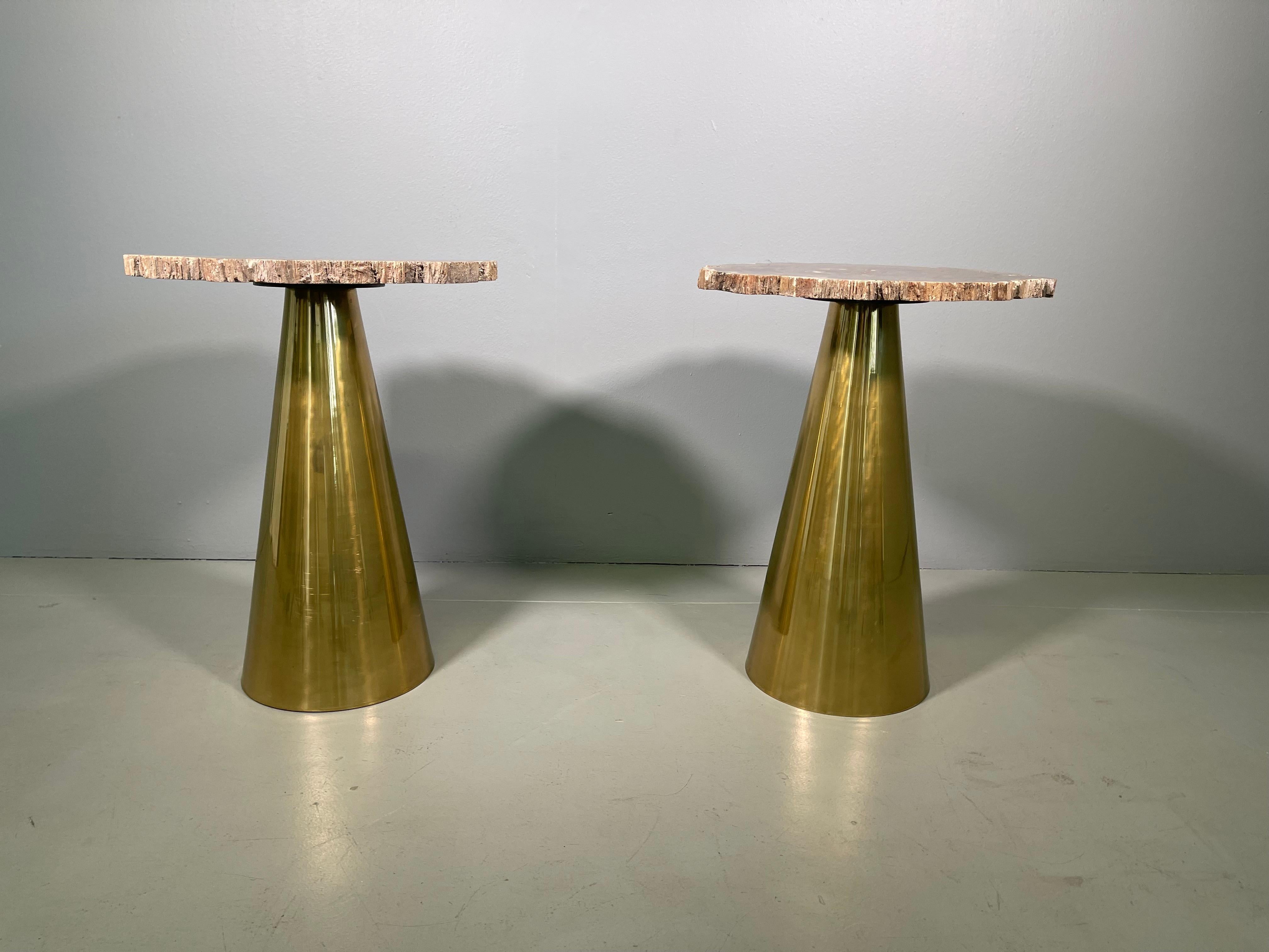 Rare Pair of Italian in Brass Tables with Petrified Wood Tops 5