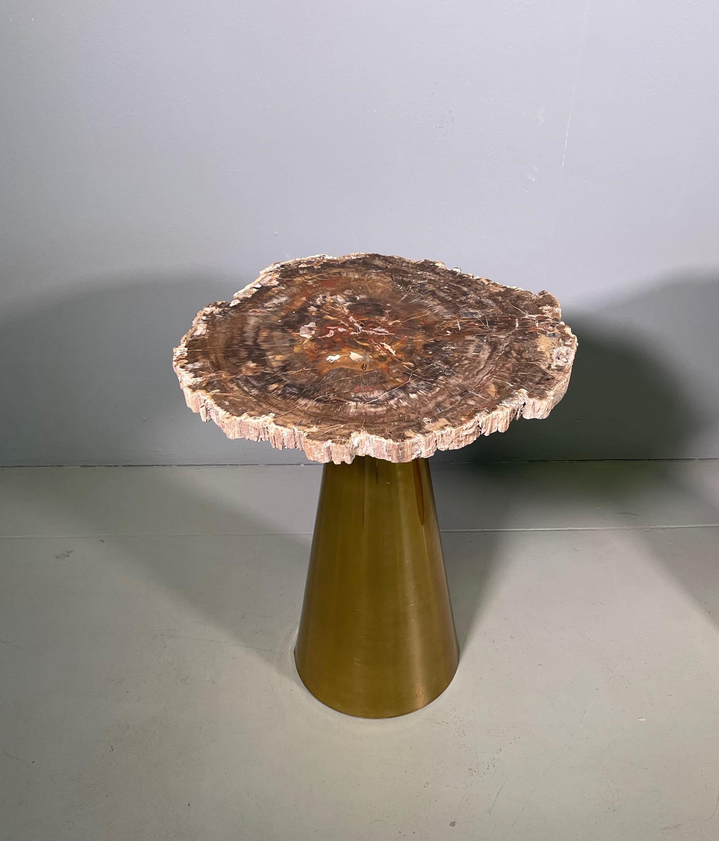 Rare Pair of Italian in Brass Tables with Petrified Wood Tops 6