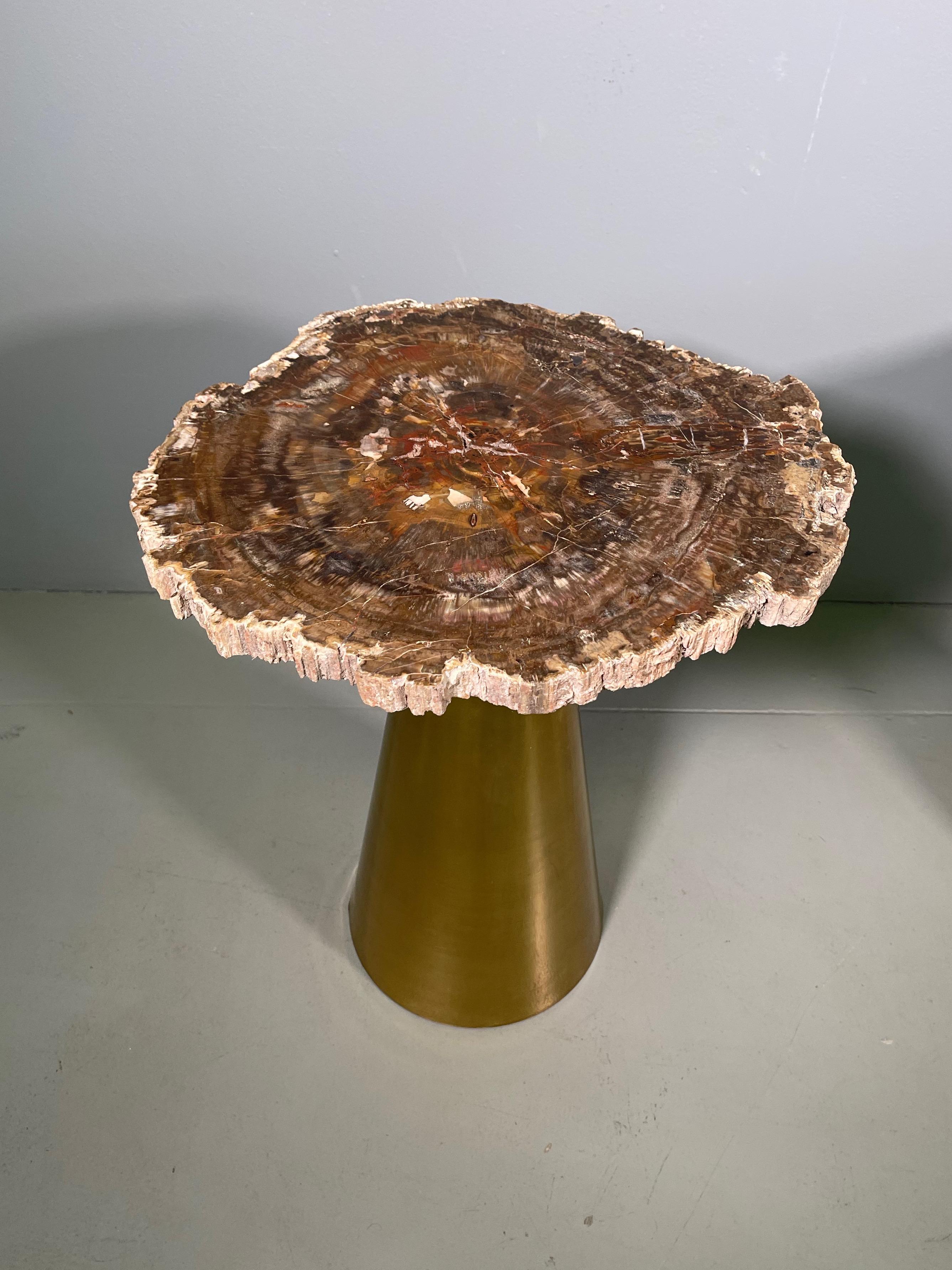 Rare Pair of Italian in Brass Tables with Petrified Wood Tops 7