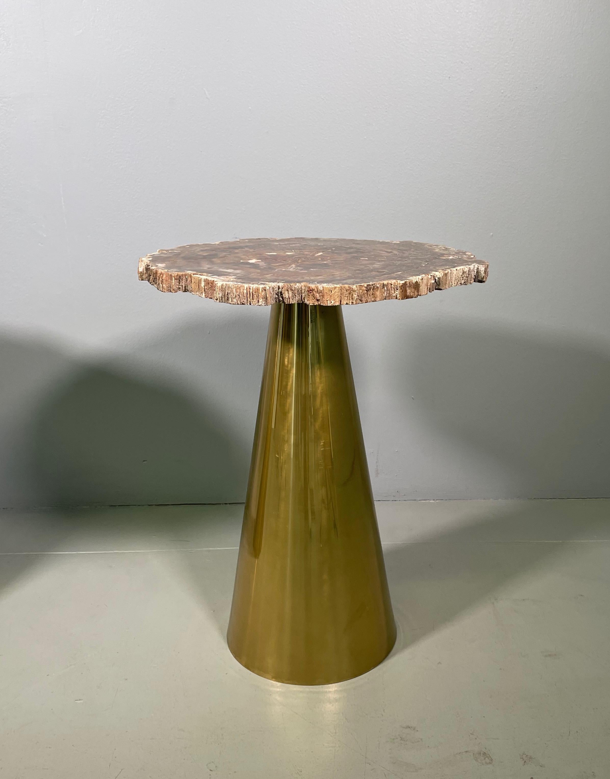 Rare Pair of Italian in Brass Tables with Petrified Wood Tops 8