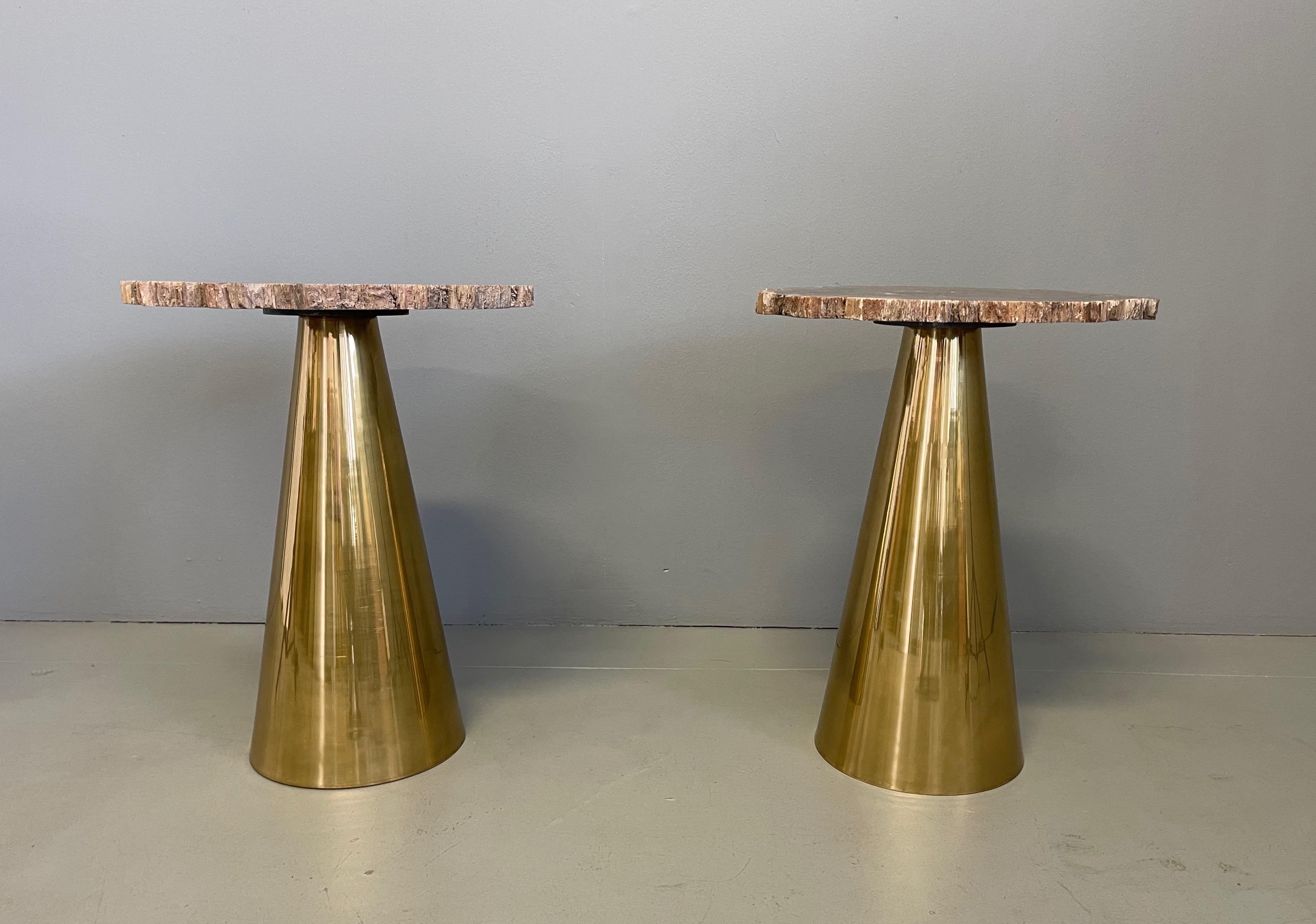 Rare pair of Italian in brass tables with petrified wood tops.