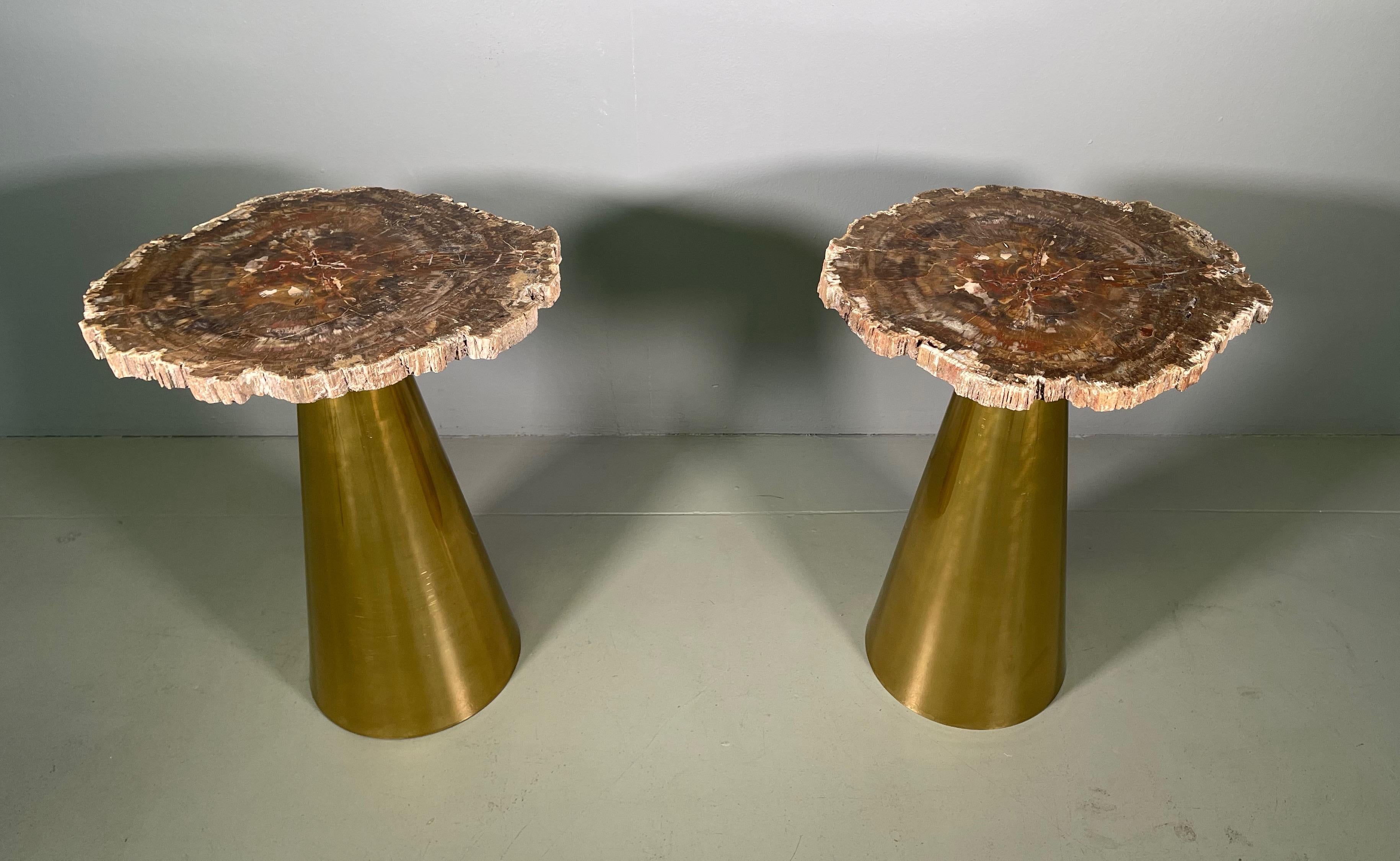 Mid-Century Modern Rare Pair of Italian in Brass Tables with Petrified Wood Tops