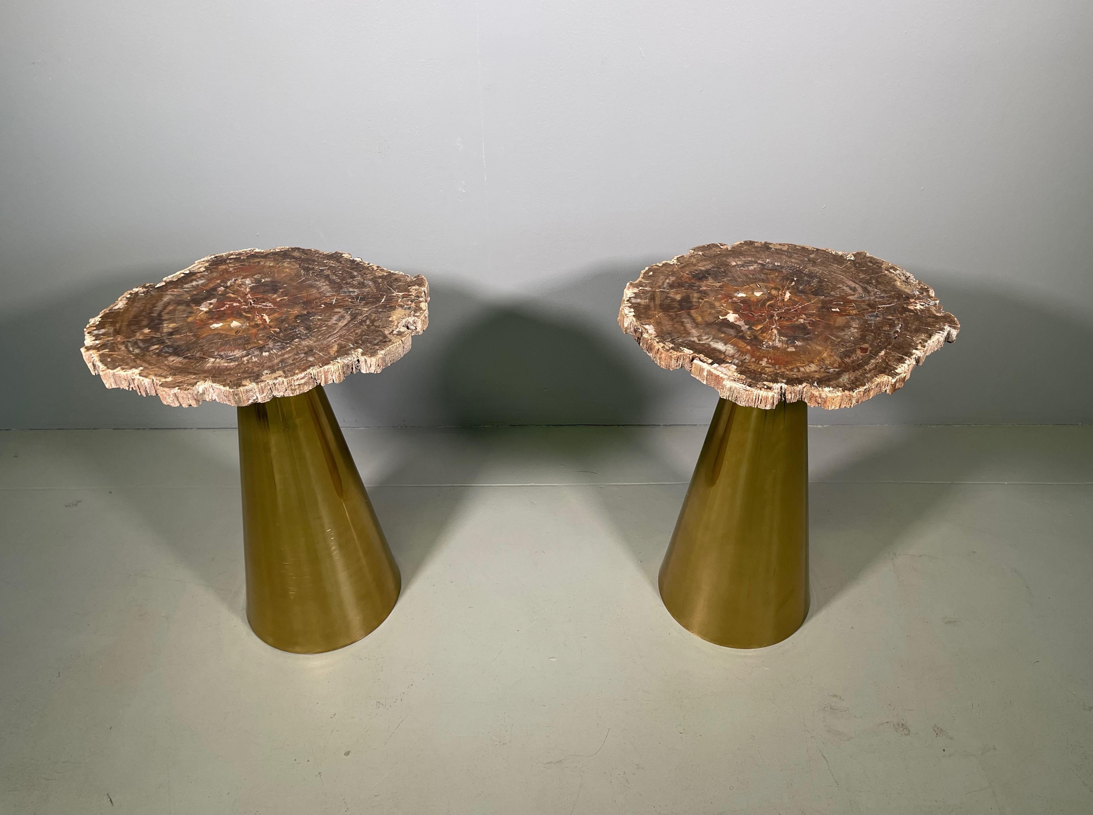 Rare Pair of Italian in Brass Tables with Petrified Wood Tops In Excellent Condition In Rovereta, SM