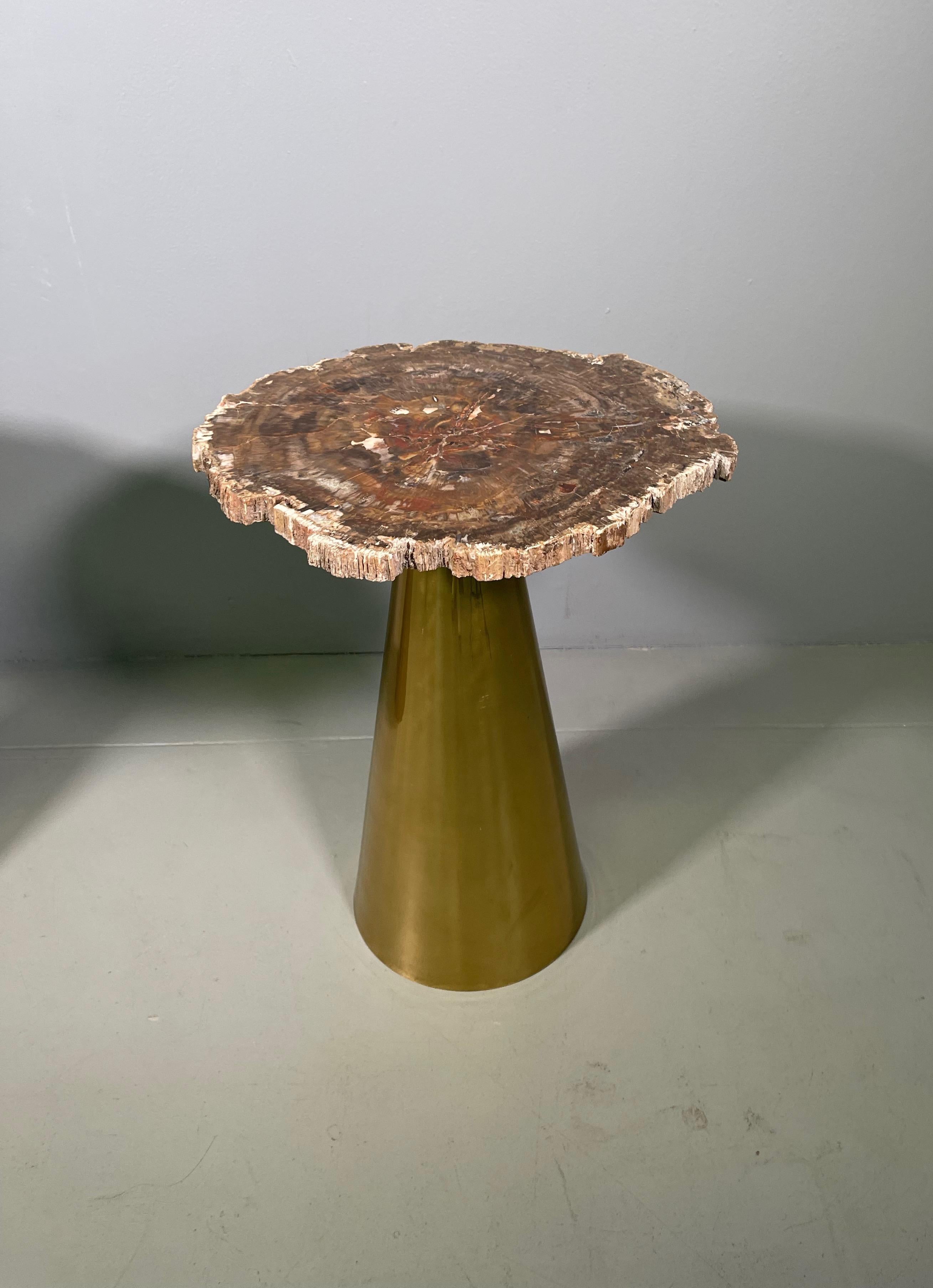 Rare Pair of Italian in Brass Tables with Petrified Wood Tops 2