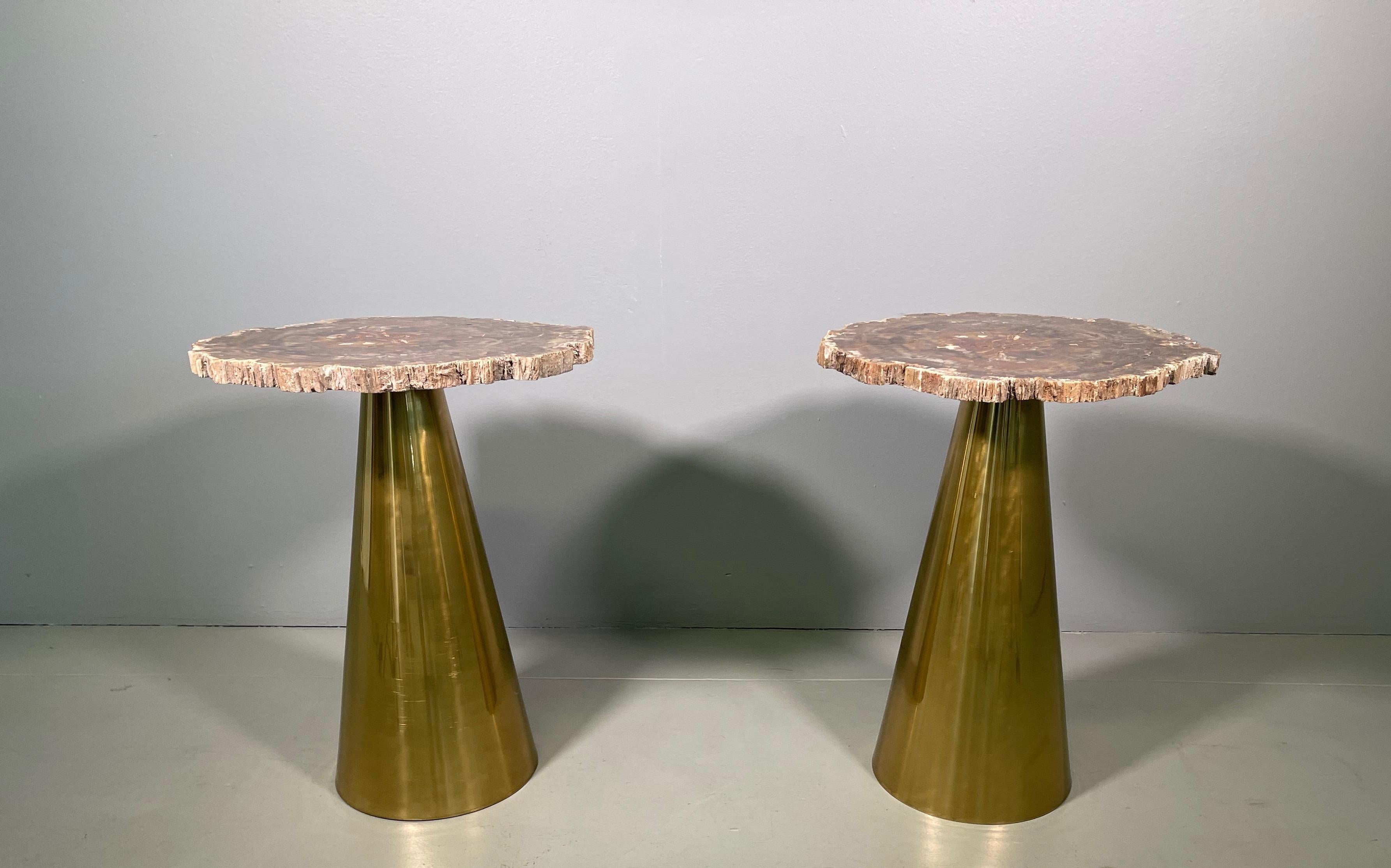 Rare Pair of Italian in Brass Tables with Petrified Wood Tops 4