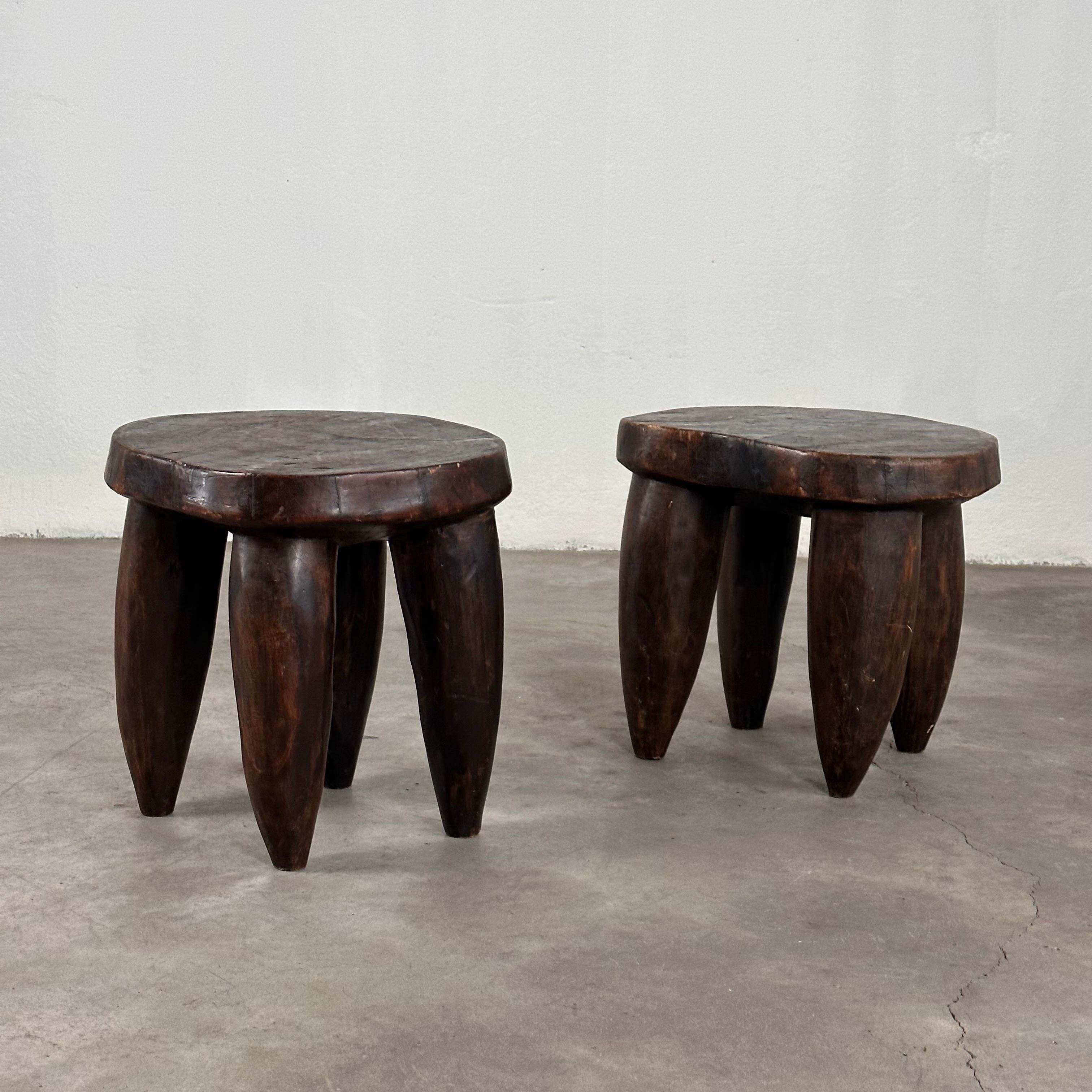 Elevate your interior with this exquisite pair of antique African Senufo stools, crafted in the late 20th century and boasting exceptional decorative appeal. Unlike most Senufo stools, which typically measure around 20 cm in height, these impressive