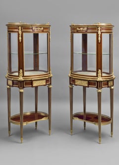 Rare Pair of Louis XVI Style Vitrines de Milieu by Paul Sormani, circa 1870