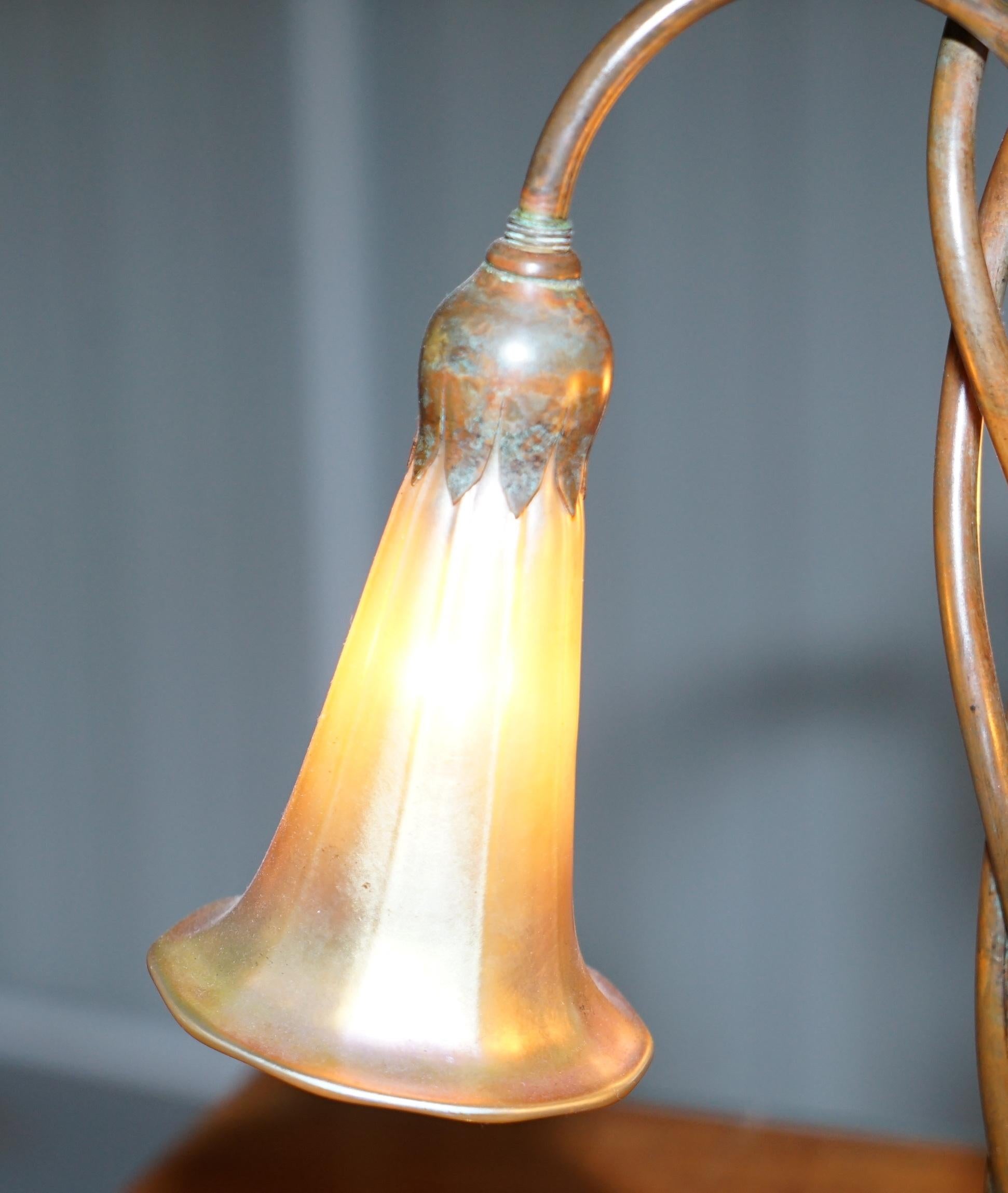Seltenes Paar Original Tiffany Studios Lampen Favrile Glasschirme Solid Bronze (Frühes 20. Jahrhundert)