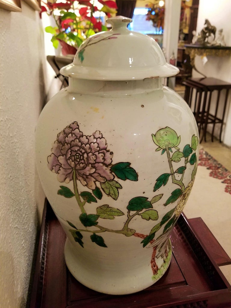 Rare Pair of Antique Chinese Lidded Ginger Jars For Sale at 1stDibs