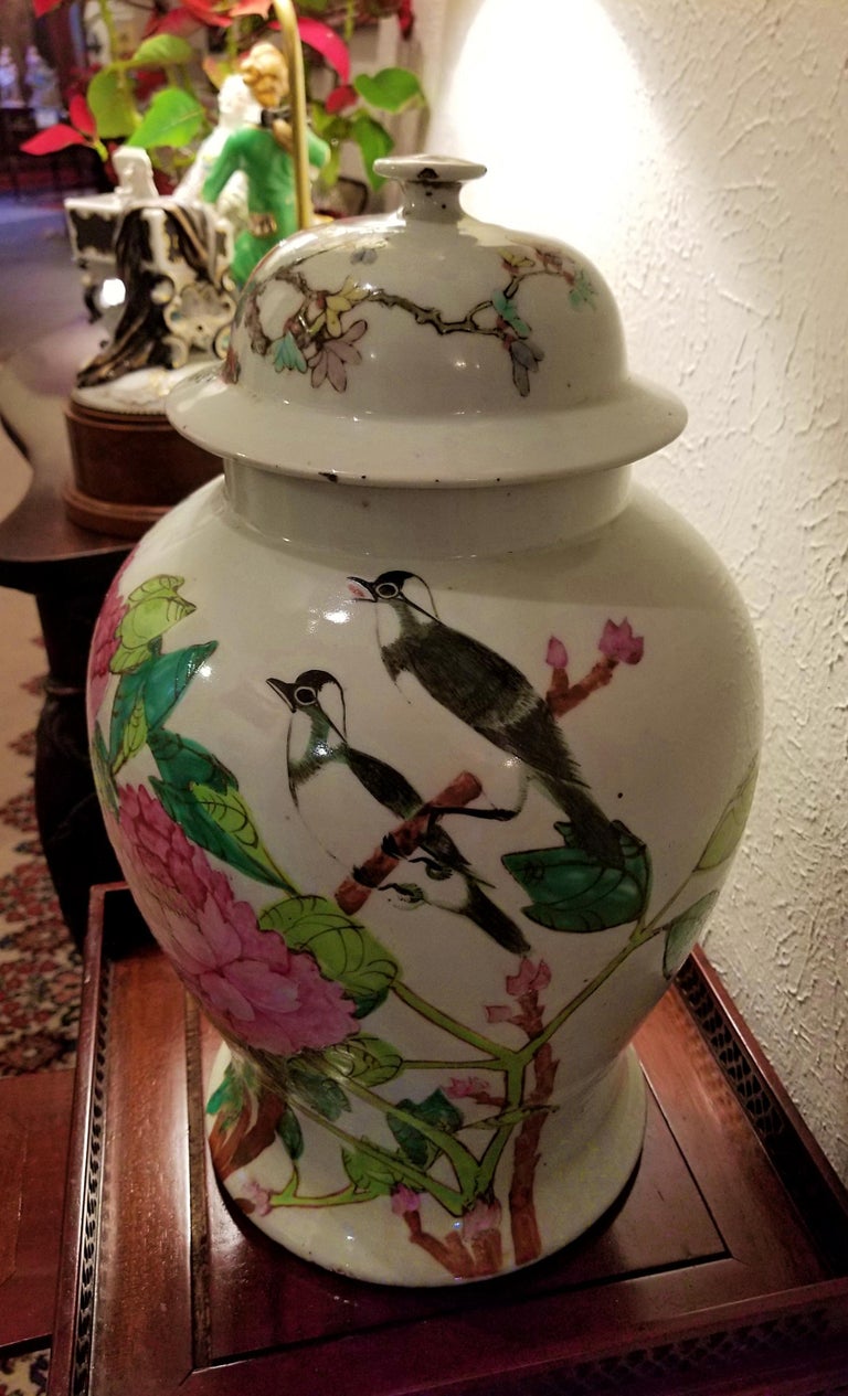 Rare Pair of Antique Chinese Lidded Ginger Jars at 1stDibs