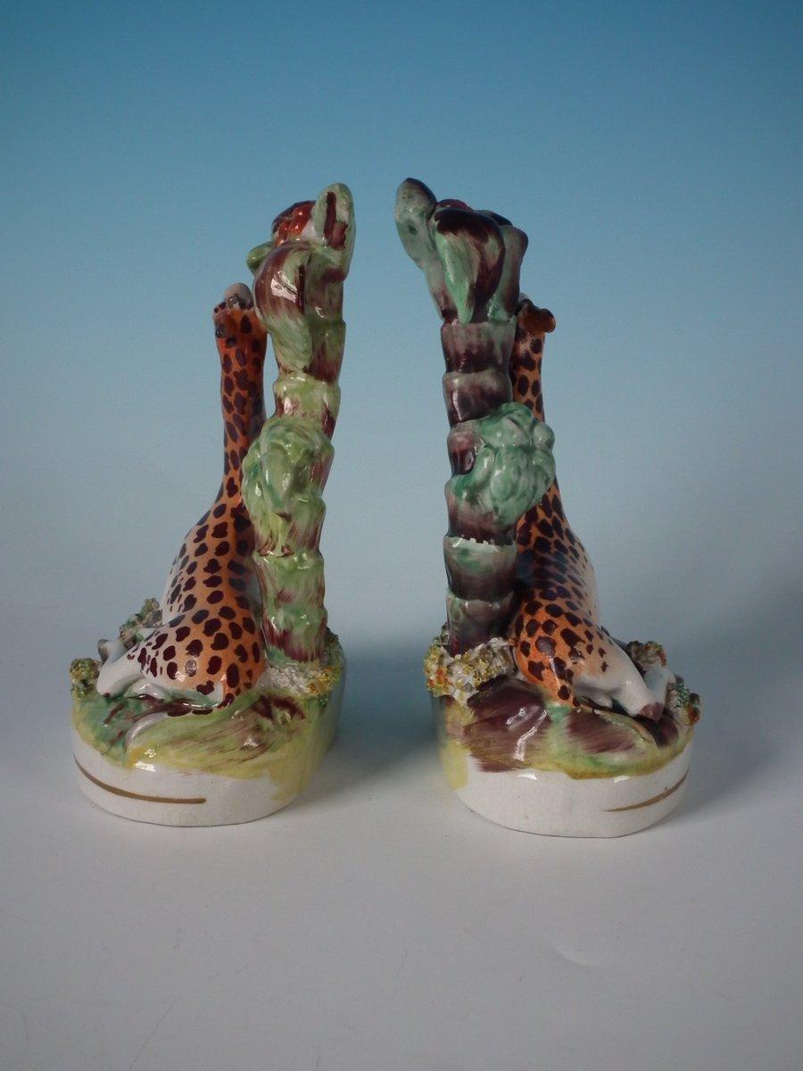Hand-Painted Rare Pair of Staffordshire Recumbent Giraffes