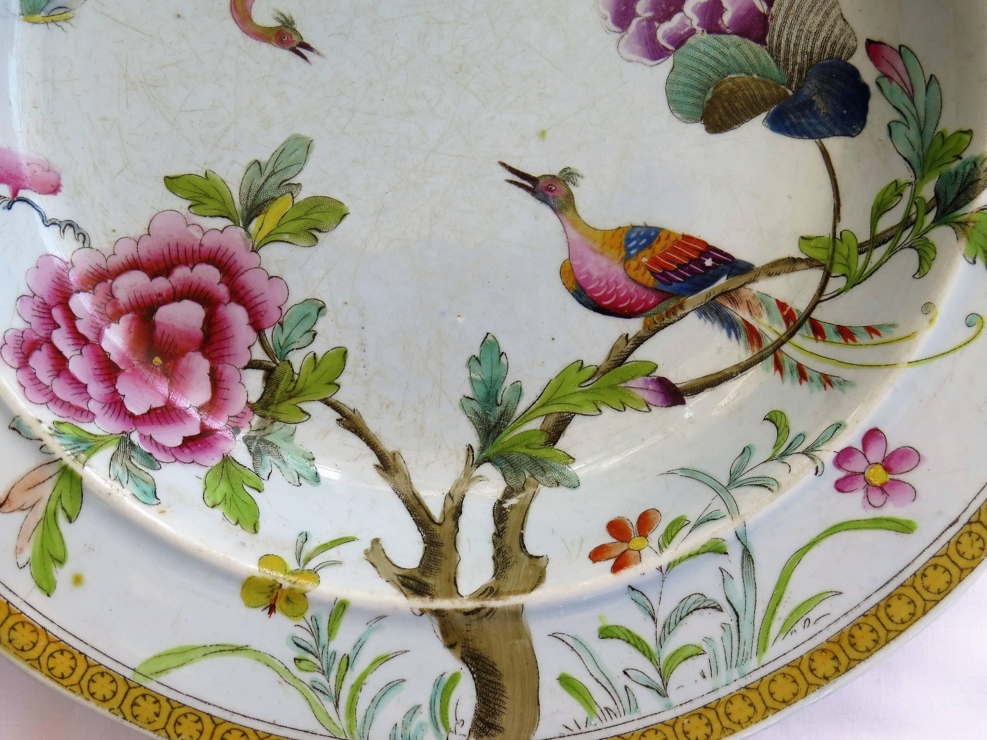 Rare Pair of Stephen Folch Ironstone Soup Plates Oriental Pheasants, circa 1825 4