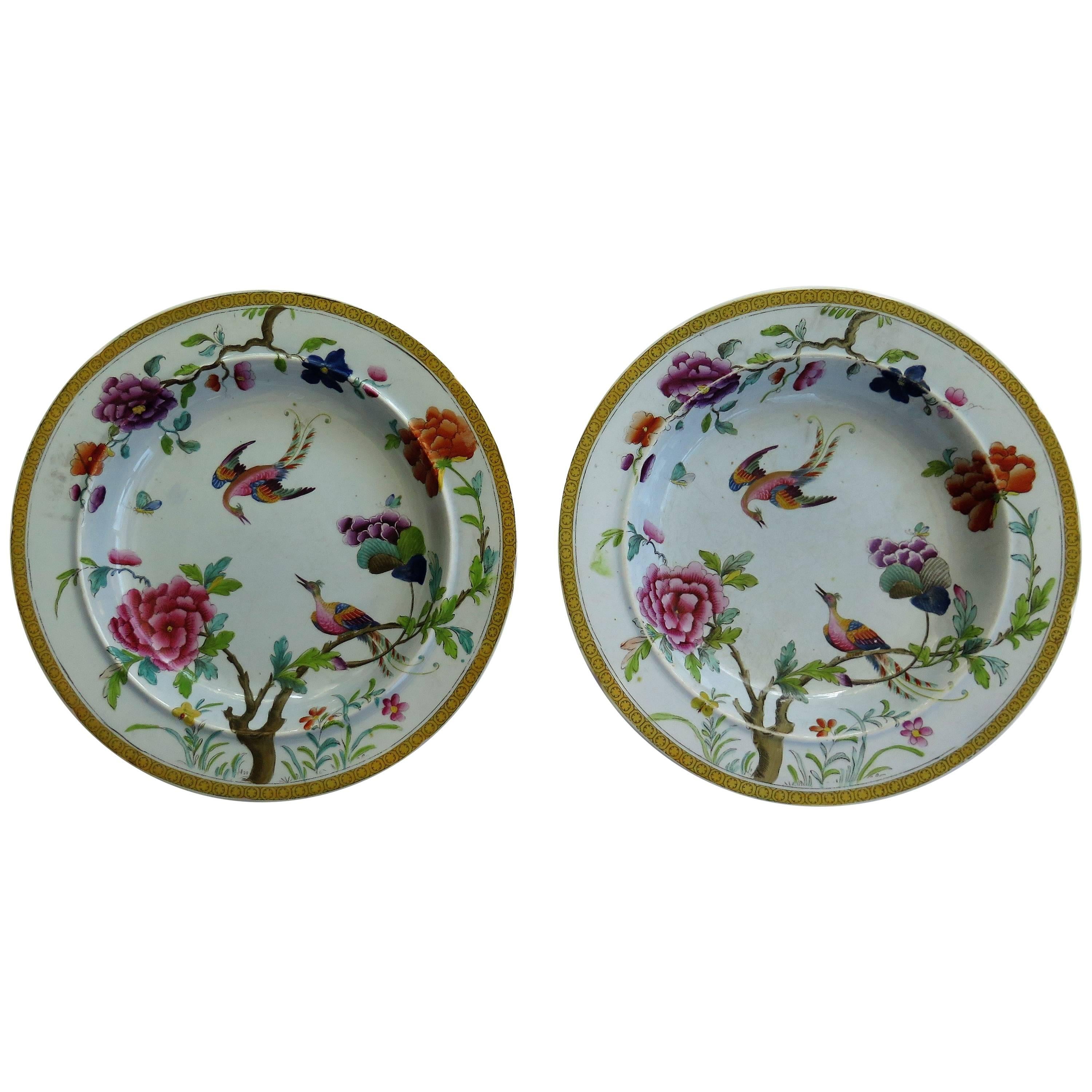Rare Pair of Stephen Folch Ironstone Soup Plates Oriental Pheasants, circa 1825