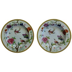Antique Rare Pair of Stephen Folch Ironstone Soup Plates Oriental Pheasants, circa 1825
