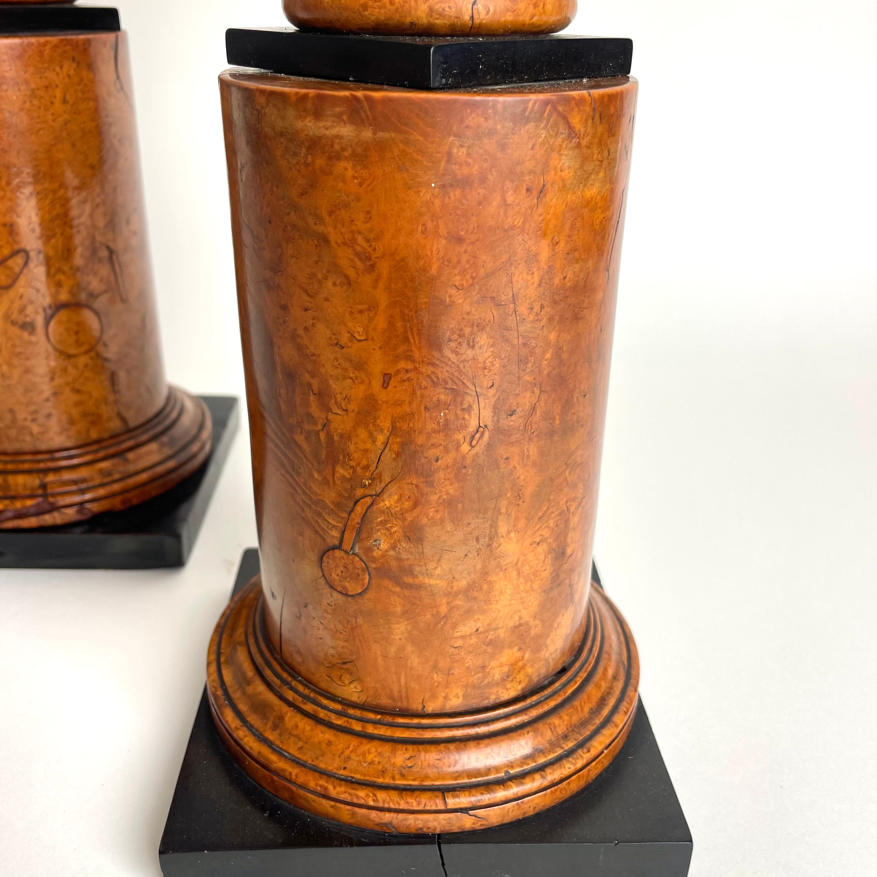 Rare pair of Tazzas in Maple root with blackened details in Empire from 1820s 7