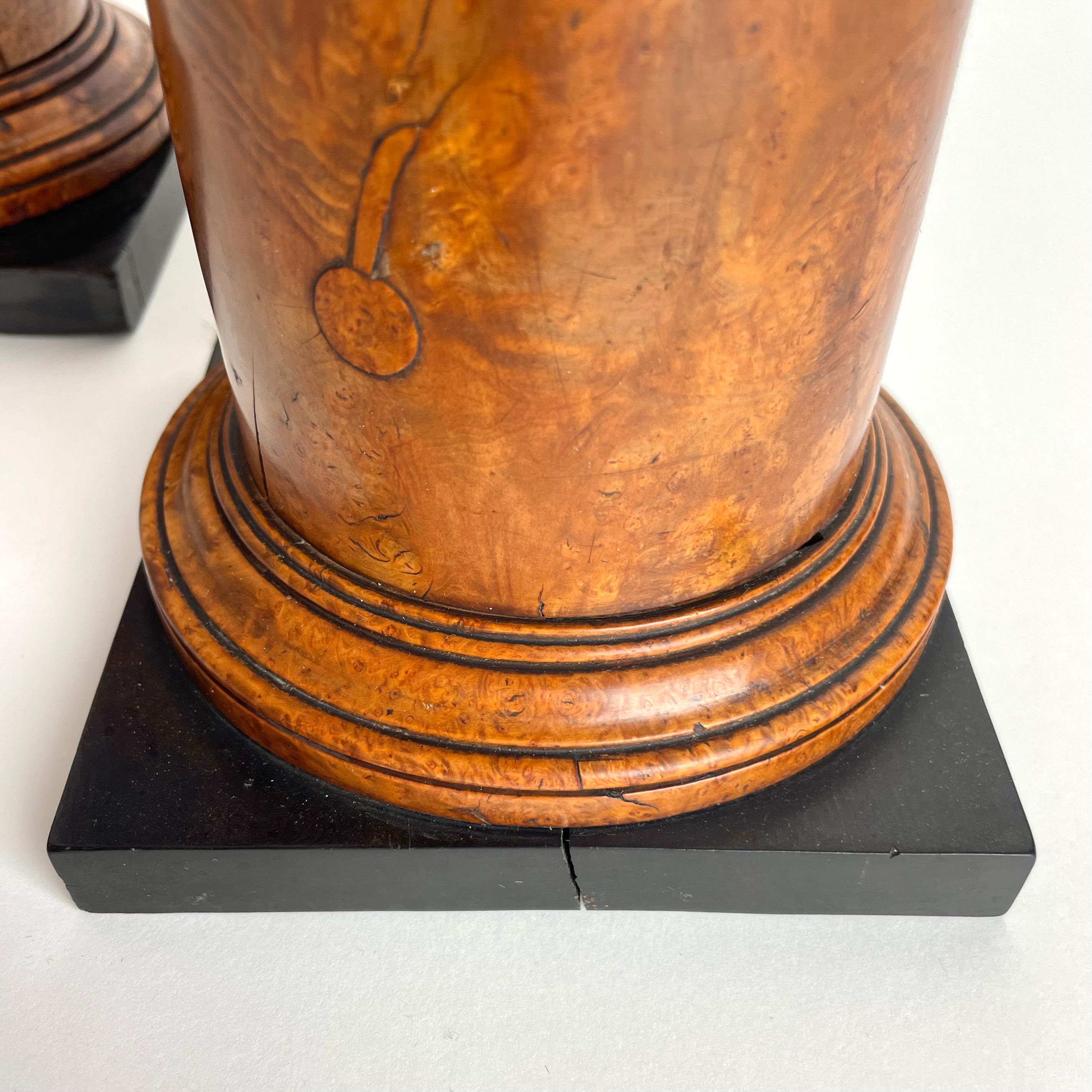 Rare pair of Tazzas in Maple root with blackened details in Empire from 1820s 8