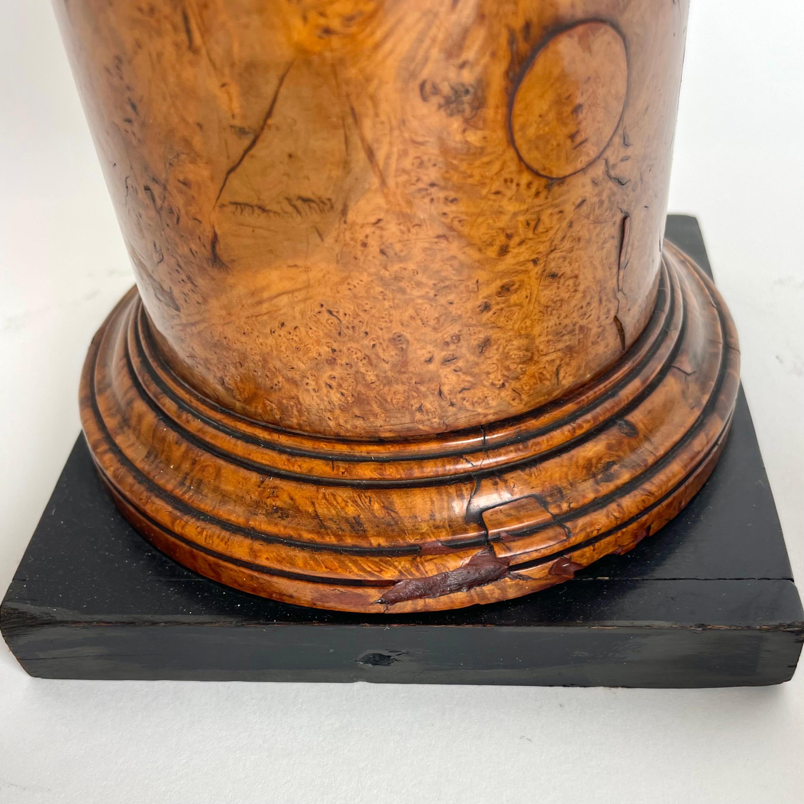 Rare pair of Tazzas in Maple root with blackened details in Empire from 1820s 9