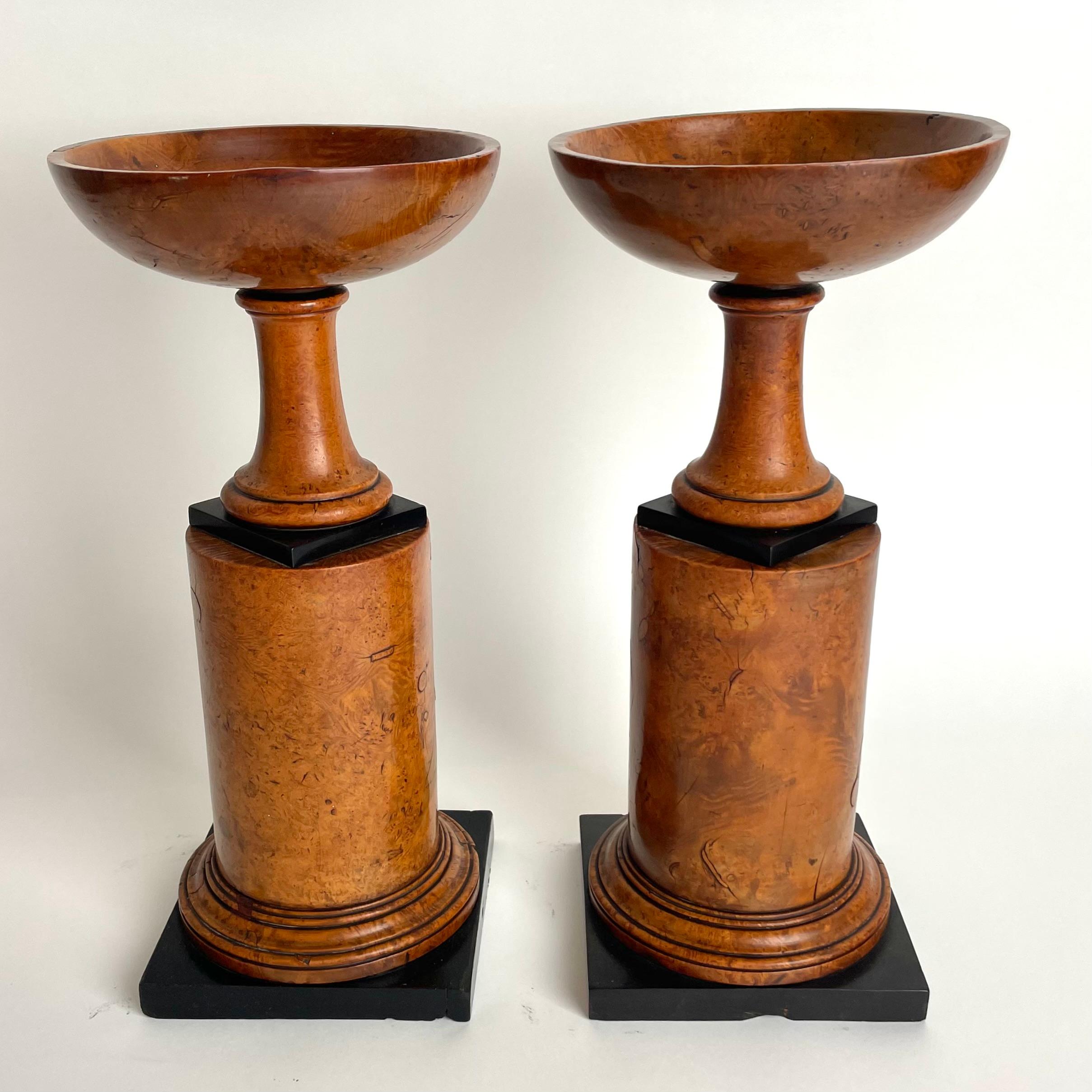 Blackened Rare pair of Tazzas in Maple root with blackened details in Empire from 1820s