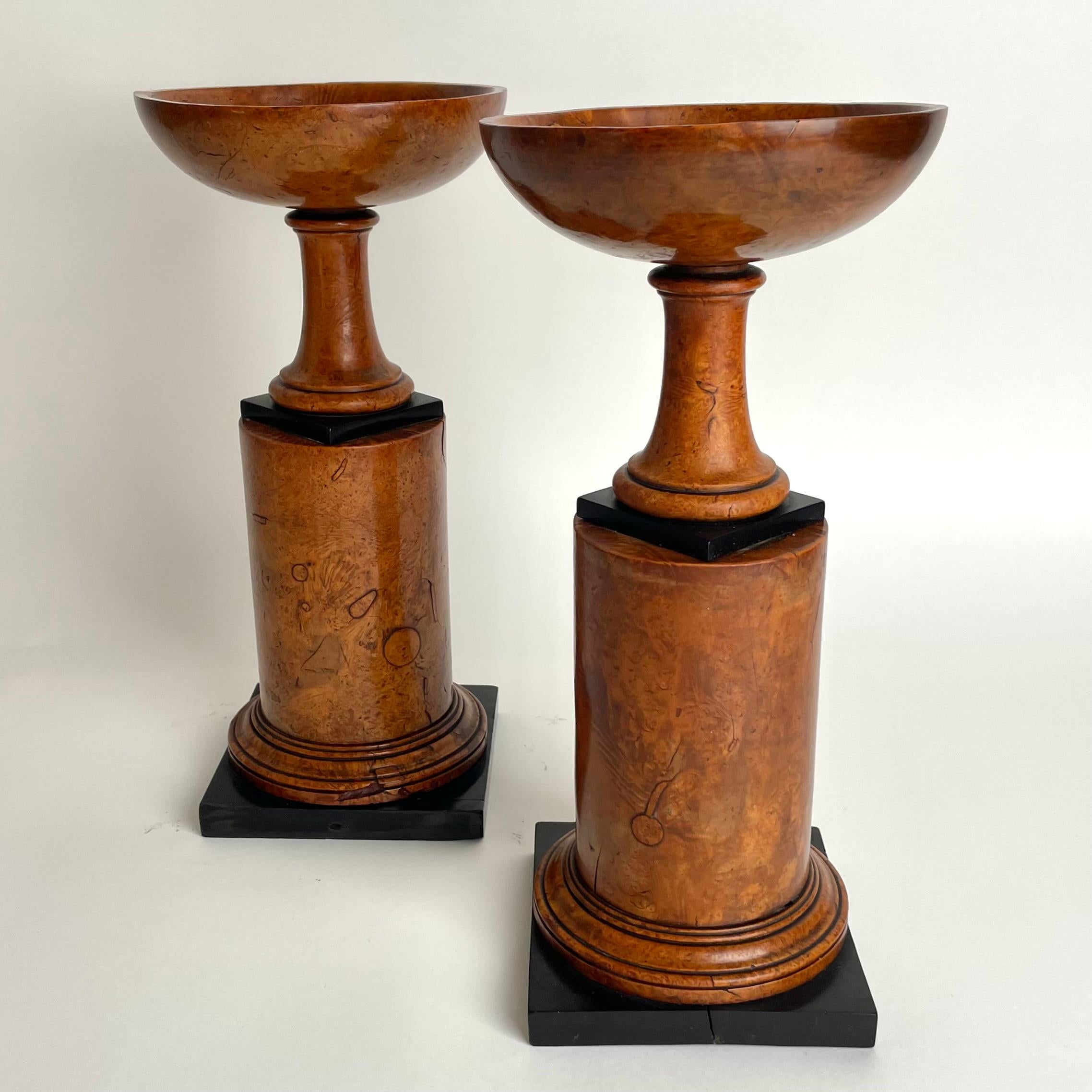 Early 19th Century Rare pair of Tazzas in Maple root with blackened details in Empire from 1820s
