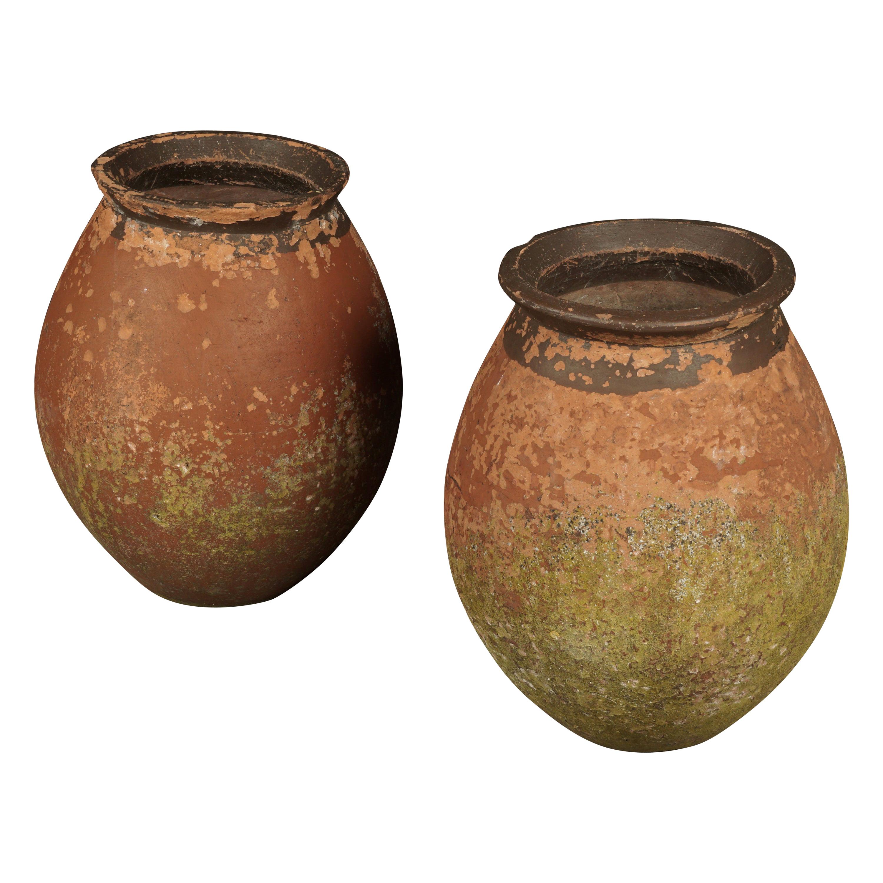 Rare Pair of Terracotta Urns from France, circa 1960