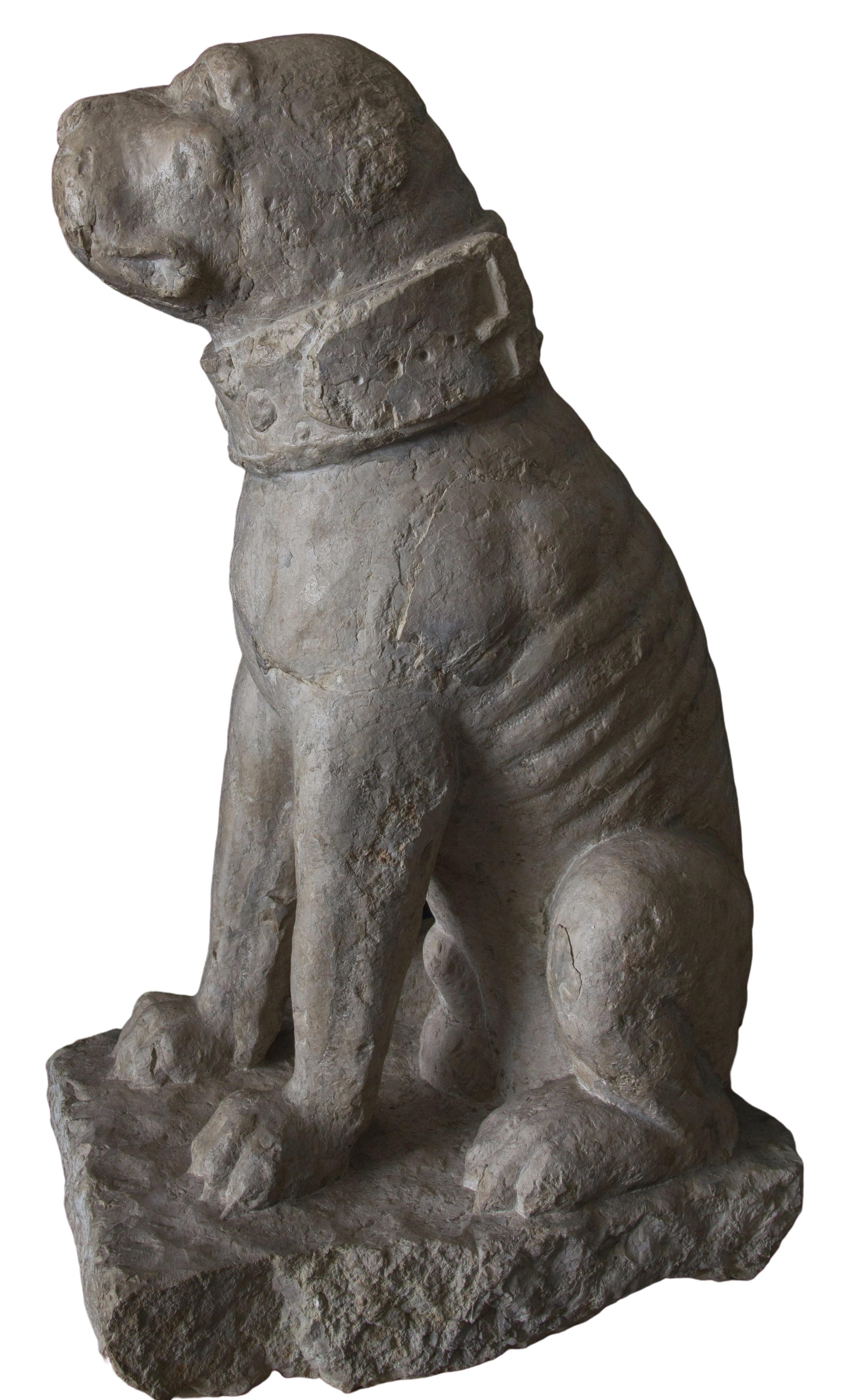 Rare pair of sitting Mastiffs dogs.
Venice, end of 15th century - first half of the 16th century.
Istrian stone.

Provenance: 
- Important private collection of an architect and scenographer from Orvieto (Umbria)

A regular exportation