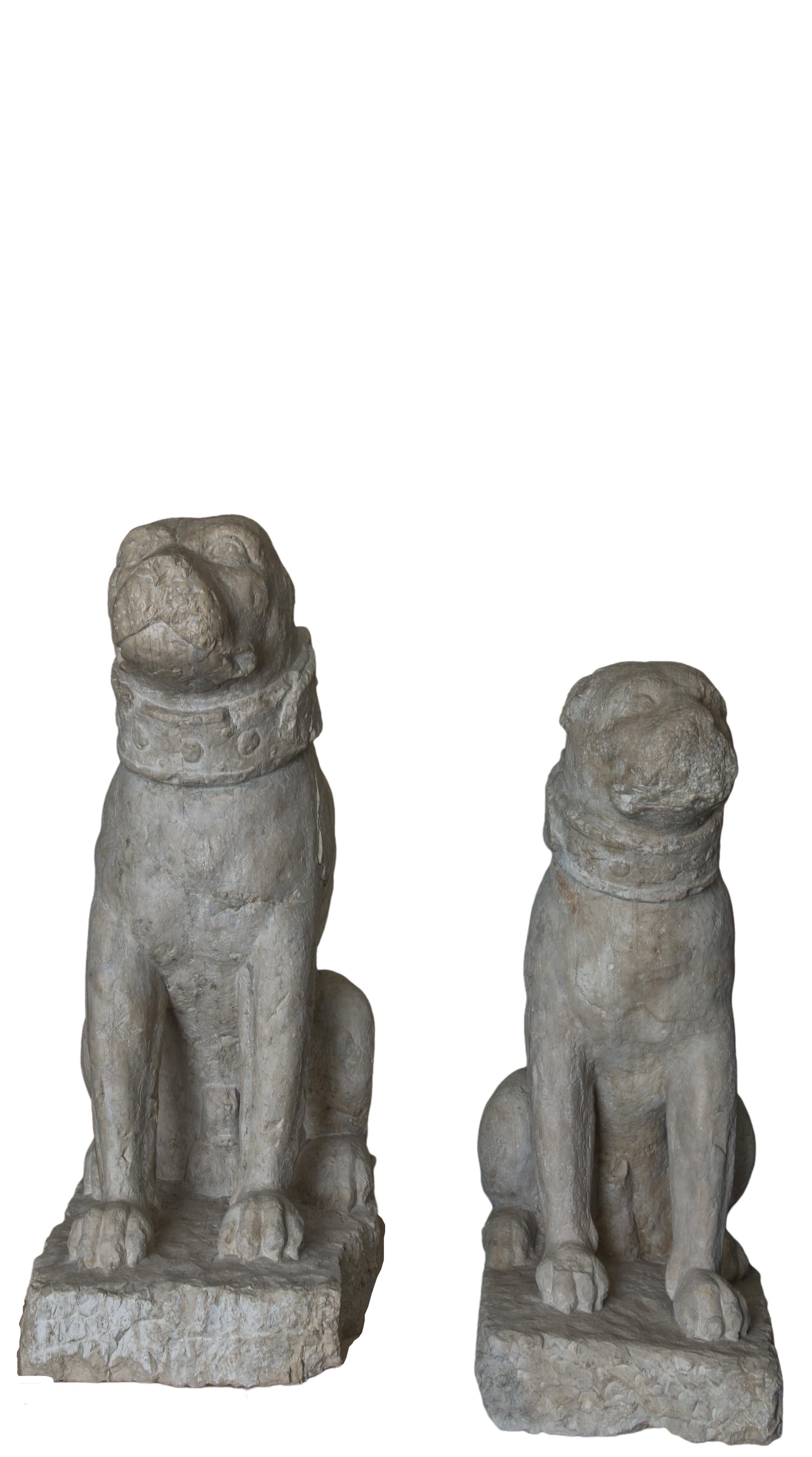 Italian Rare Pair of Venetian Sitting Mastiffs Dogs For Sale