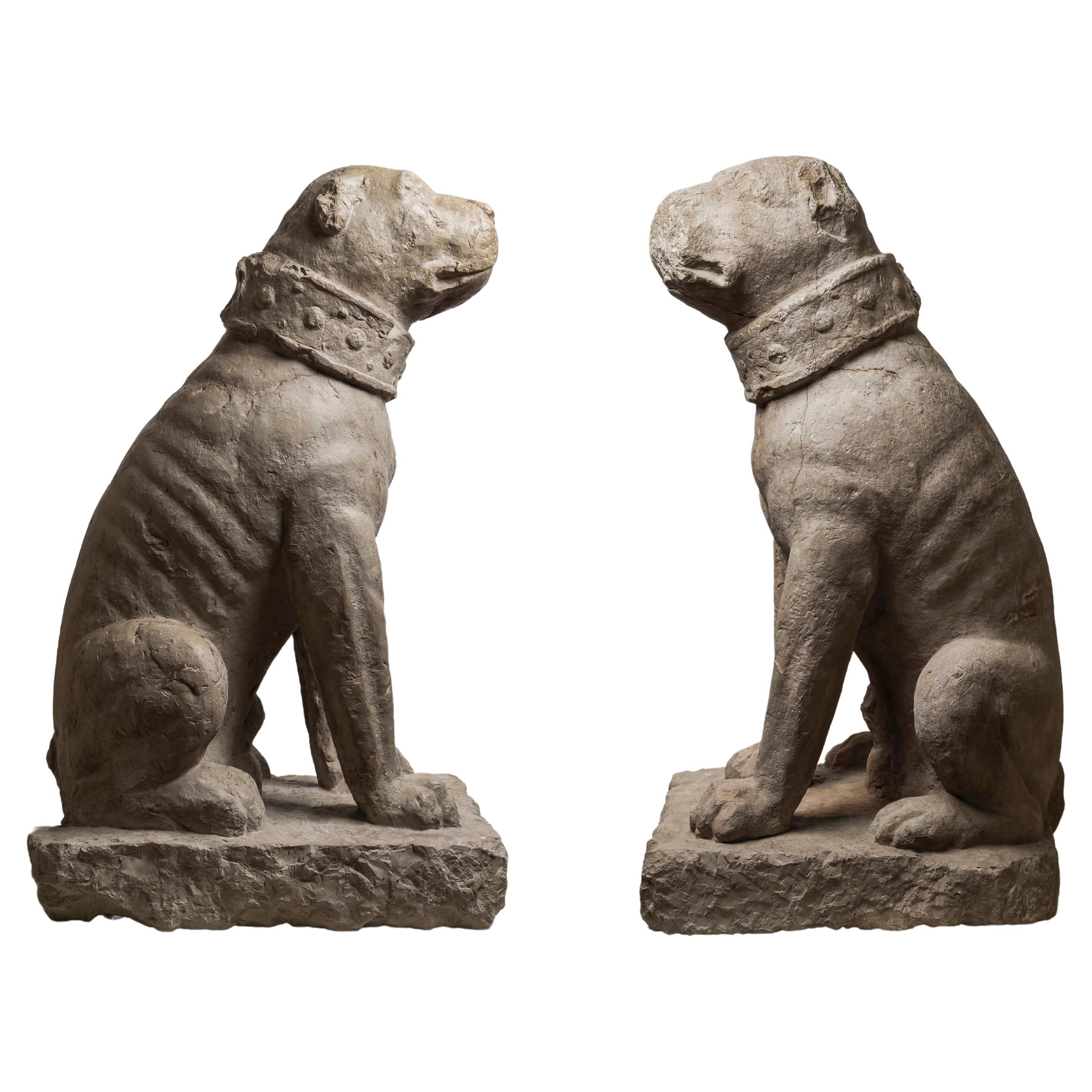 Rare Pair of Venetian Sitting Mastiffs Dogs