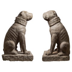 Rare Pair of Venetian Sitting Mastiffs Dogs
