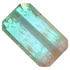 Rare Pale Brownish Pink
Serene Aqua Green Bicolor Tourmaline Gemstone, 9.25 Ct Rare Pale Brownish Pink
Serene Aqua Green Bicolor Tourmaline Gemstone, 9.25 Ct