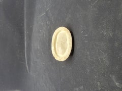 Rare Palissy Single Beetle