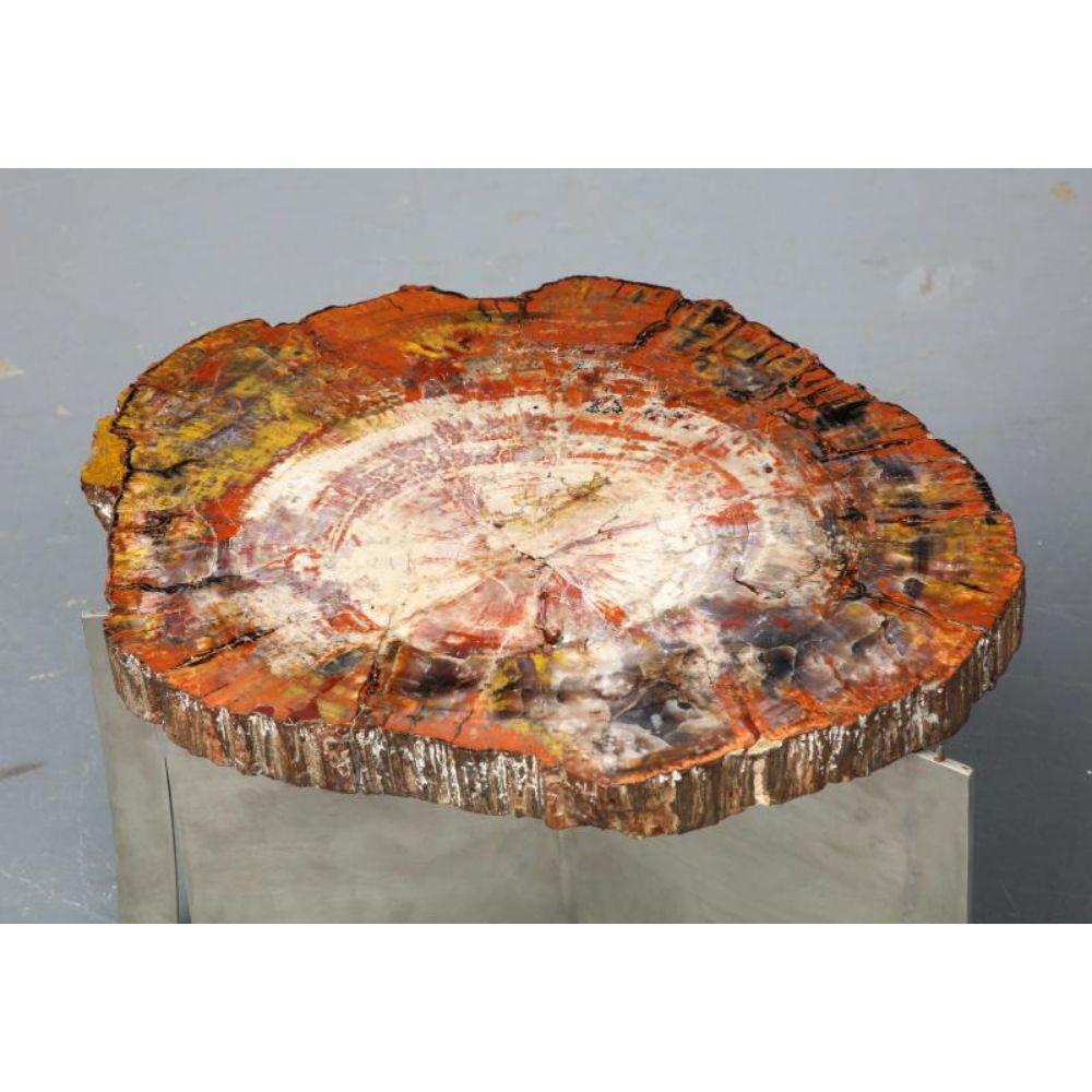 Rare Petrified Wood and Steel Side Table by Claude De Muzac, circa 1970 In Excellent Condition For Sale In New York City, NY