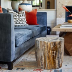 Rare Petrified Wood Stone Side Table - 20 million years old Fossil