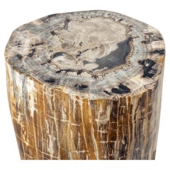 Raro tavolino in legno pietrificato A. Stone - Fossile di 20 milioni di anni fa