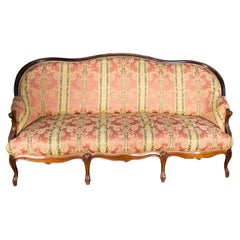 Rare Pink Canapé 19th Century